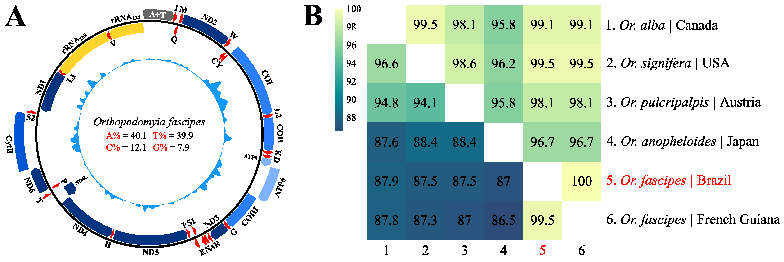 Genes 15 00874 g002