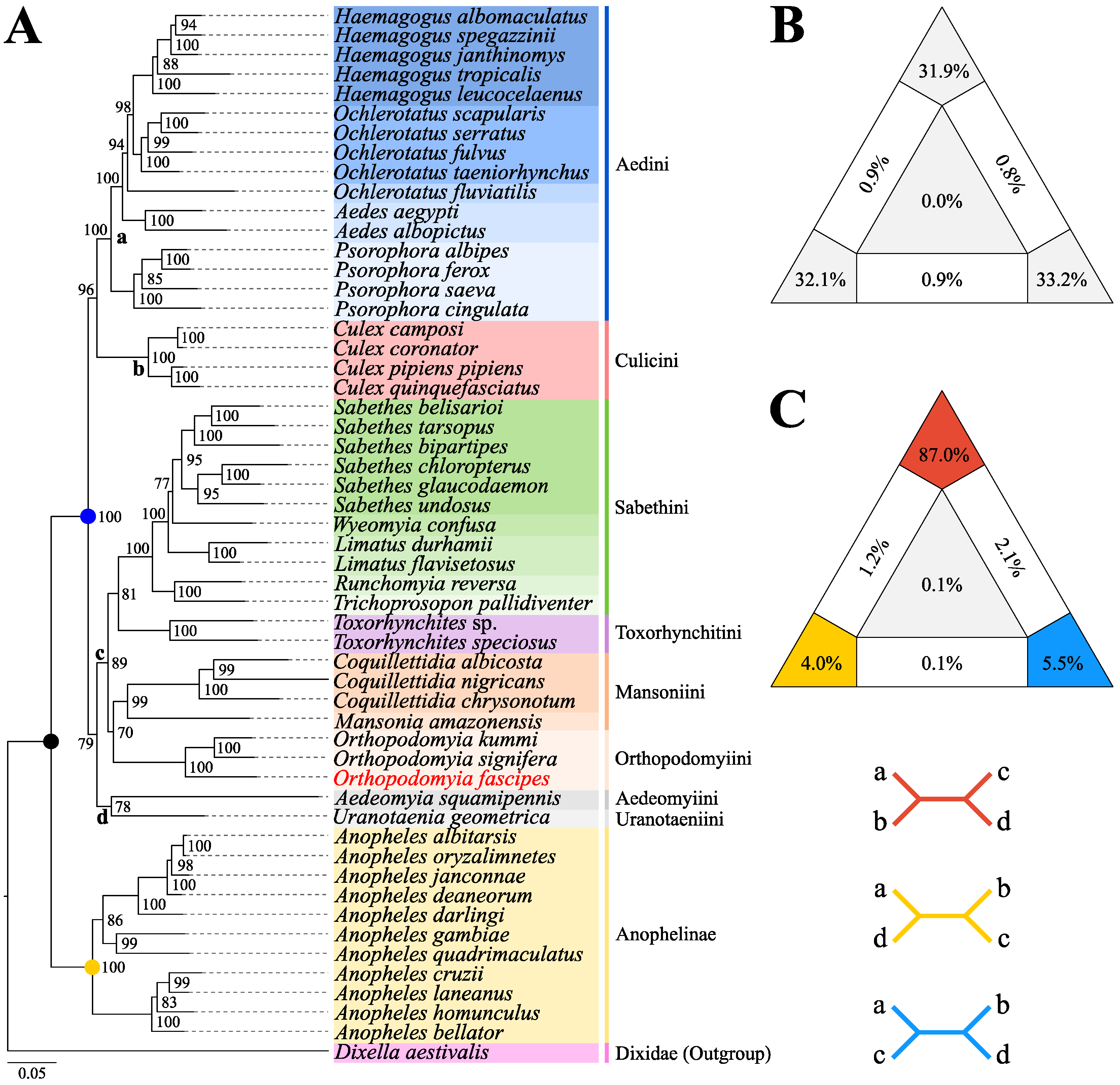 Genes 15 00874 g008