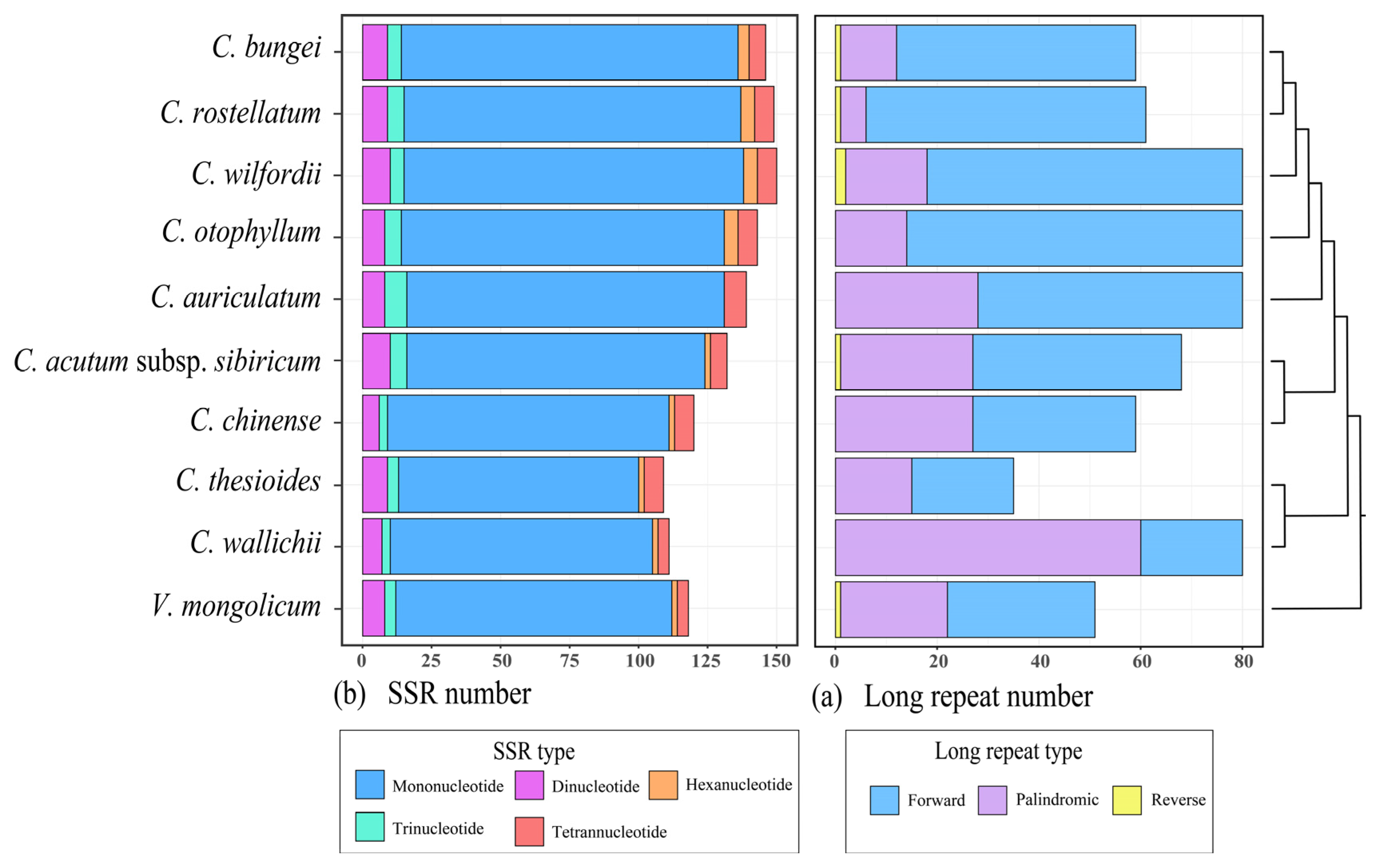 Genes 15 00884 g005