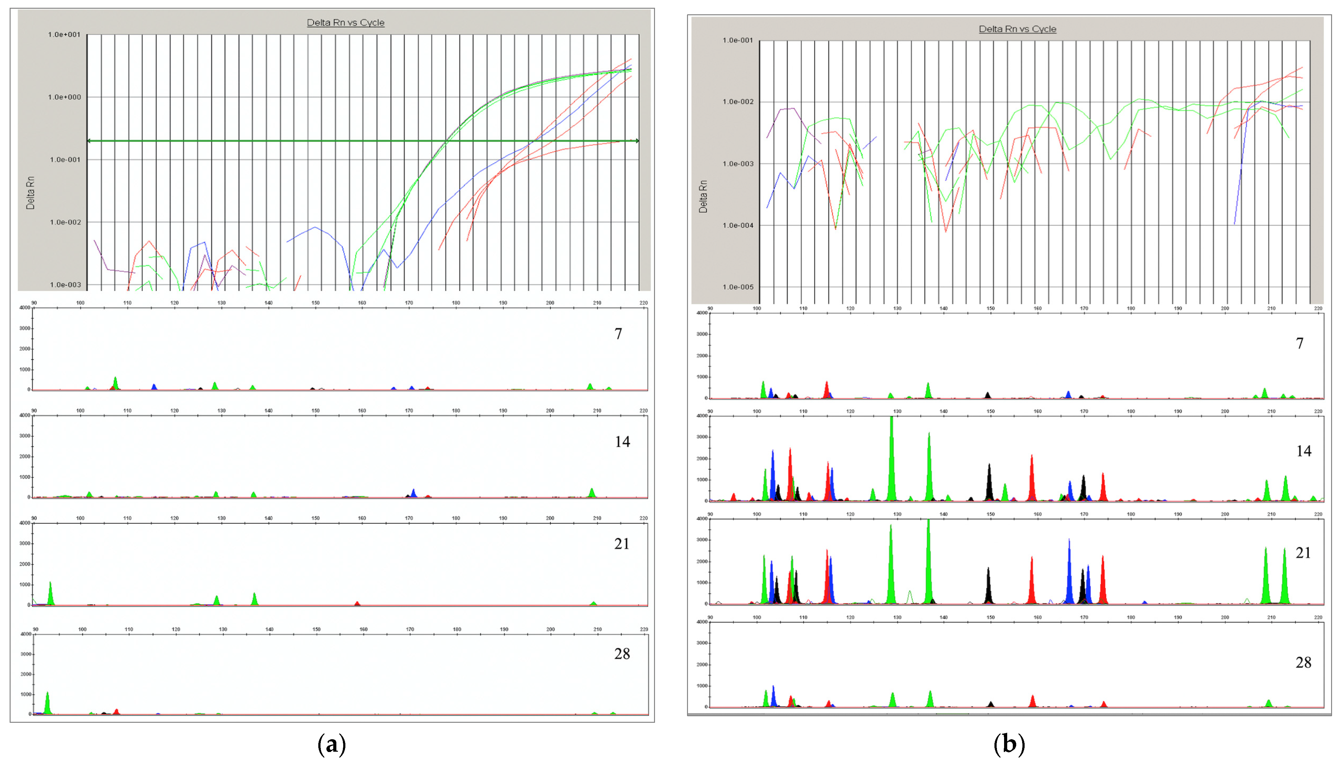 Genes 15 00888 g003 Genes 15 00888 g003
