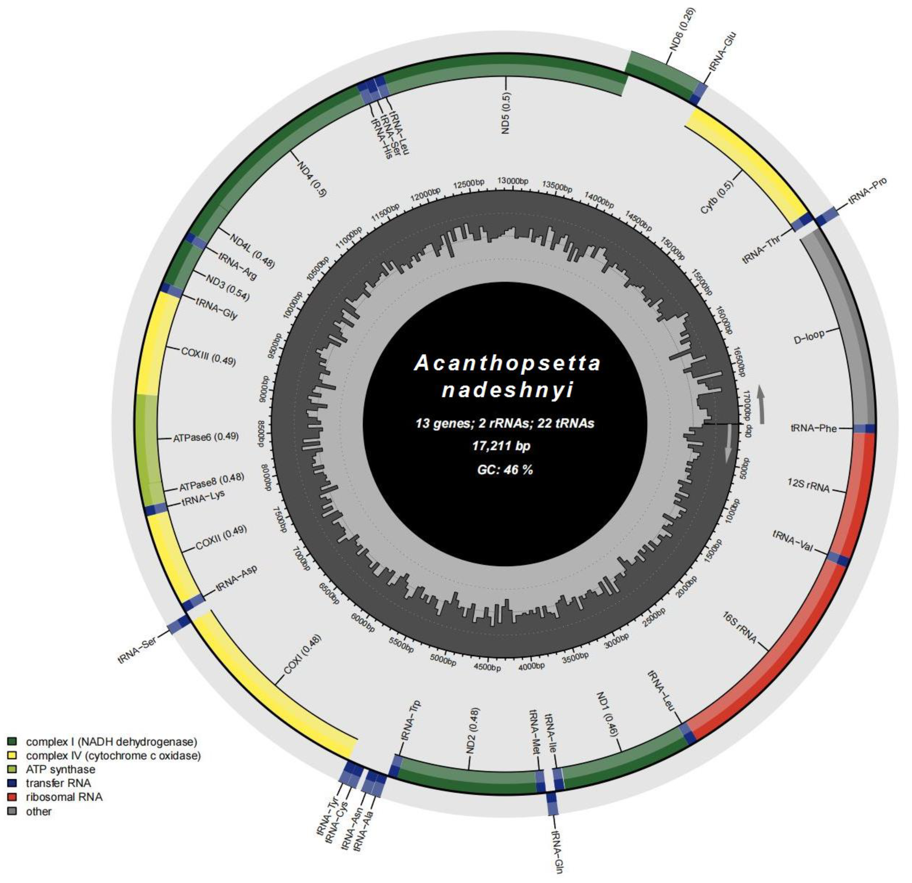 Genes 15 00893 g001 Genes 15 00893 g001