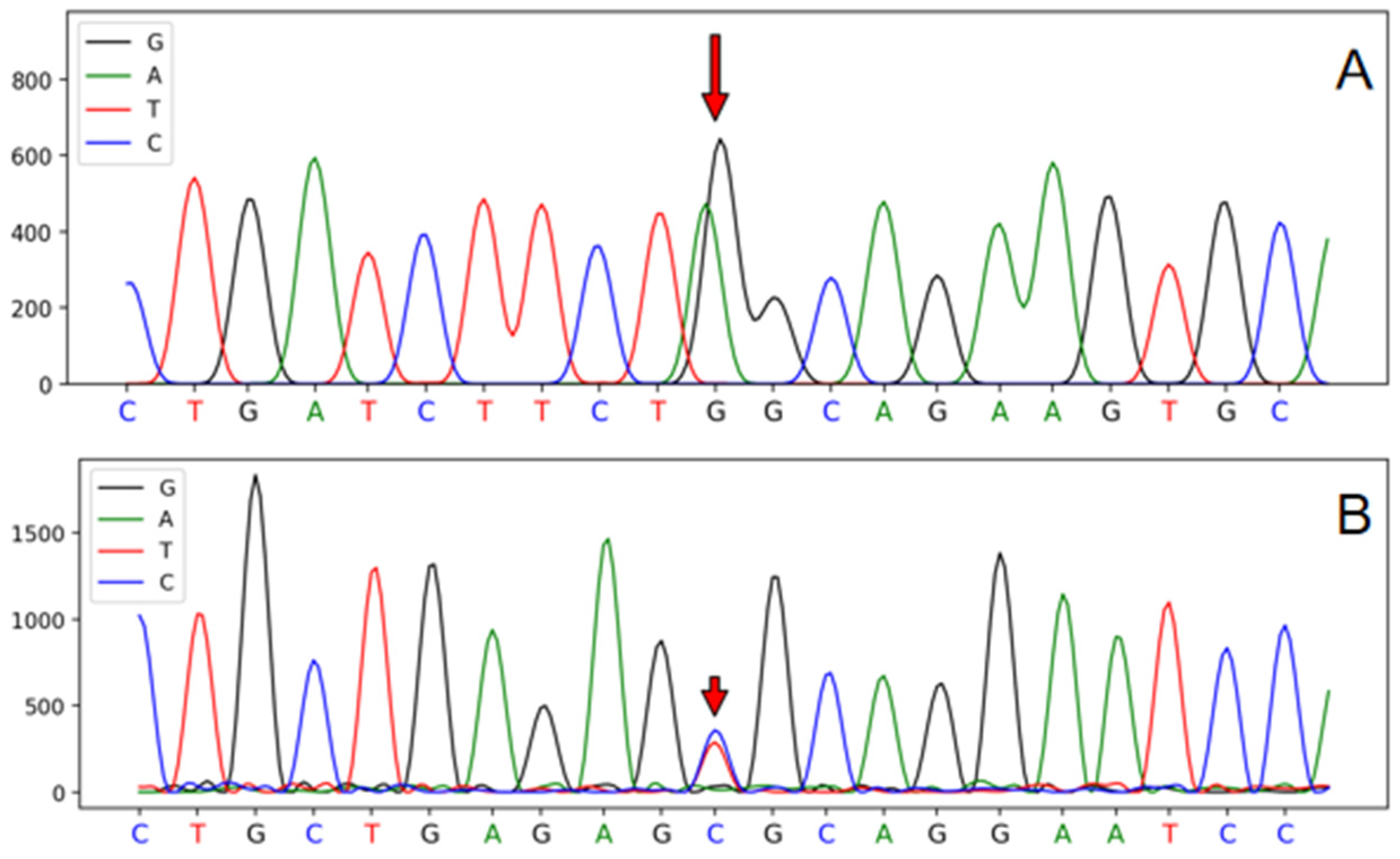 Genes | Free Full-Text | Genetic Variations of MSTN and Callipyge in ...