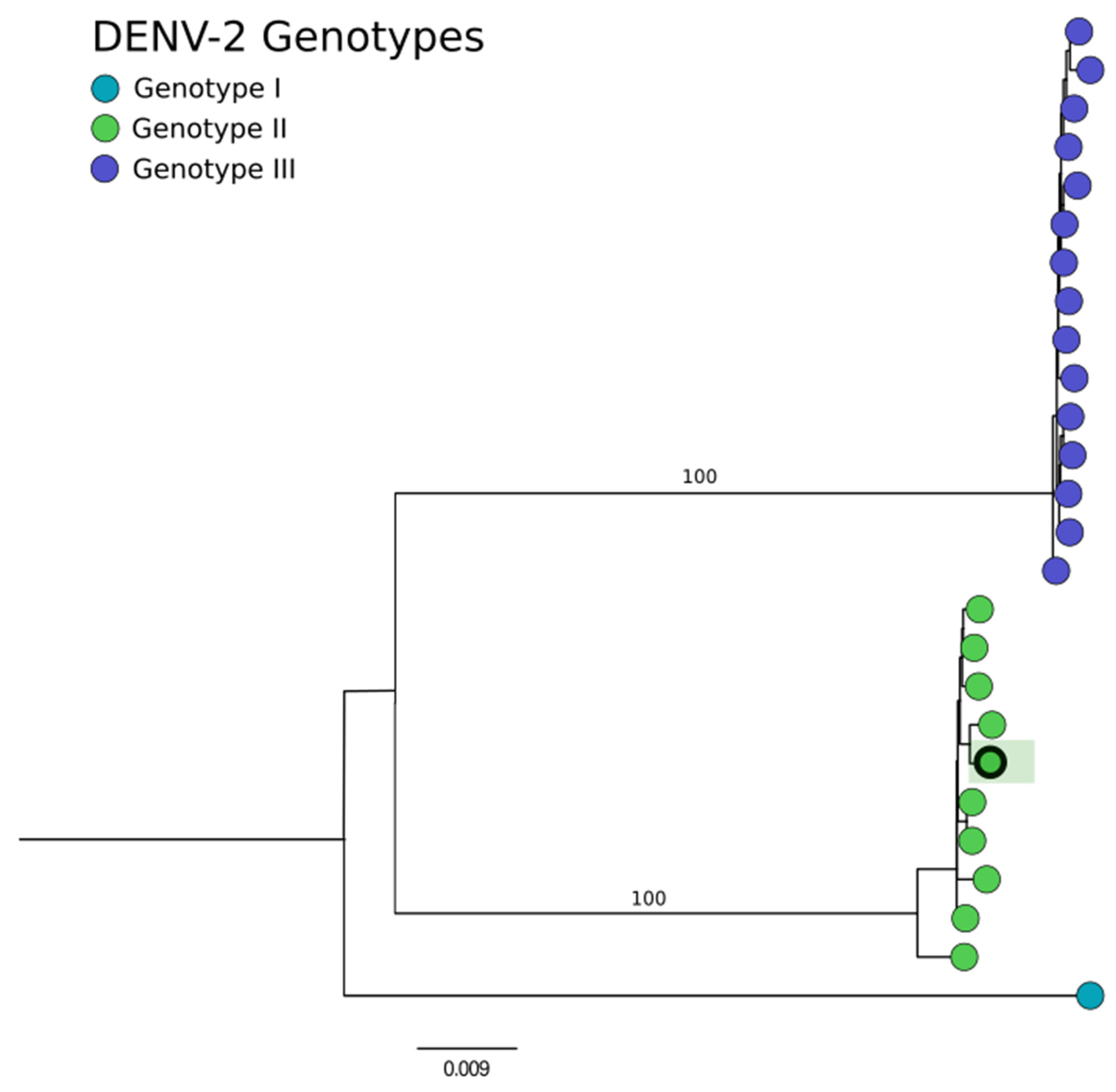Genes 15 00922 g006