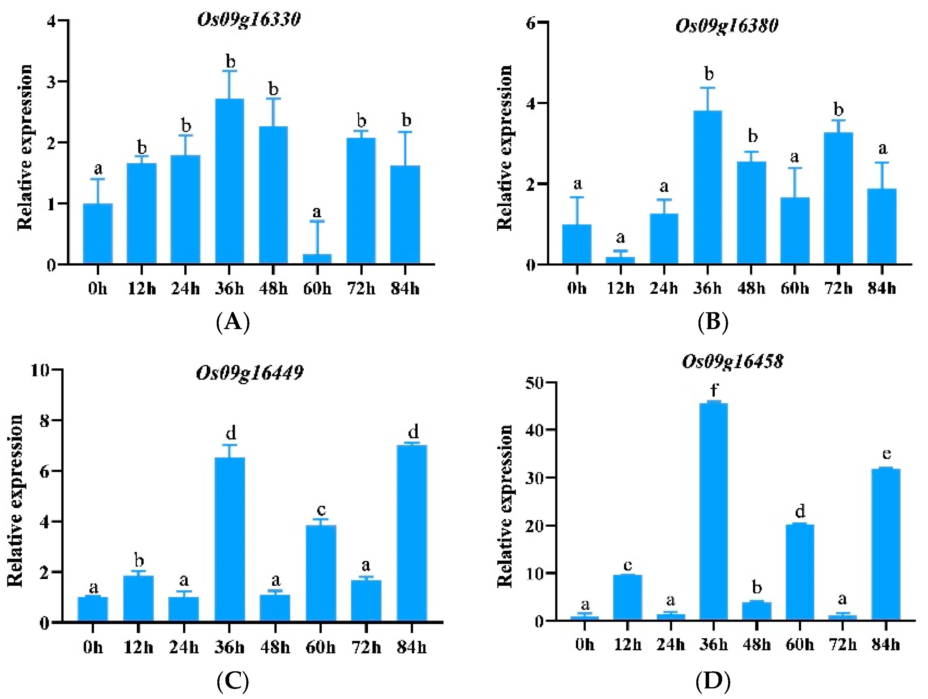 Genes 15 00924 g002