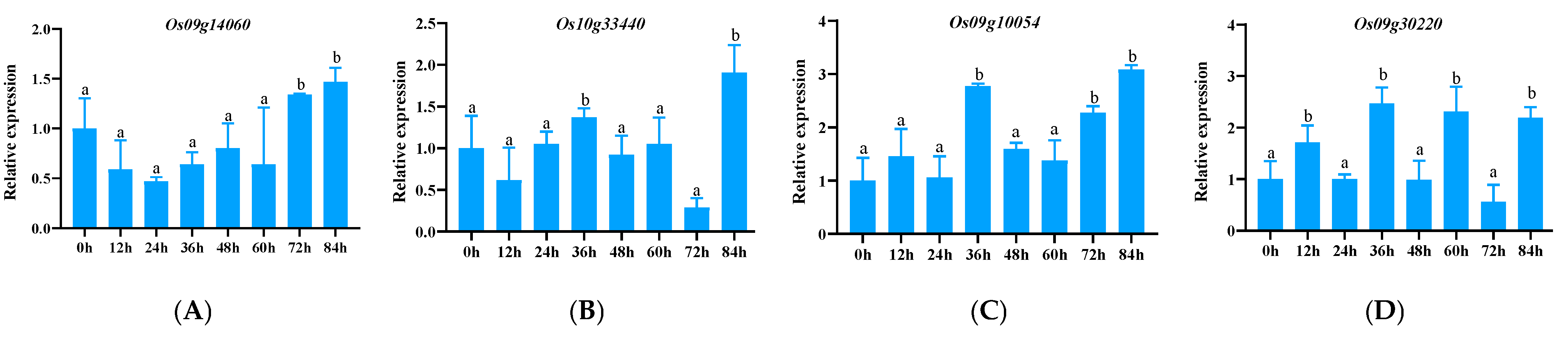 Genes 15 00924 g004a