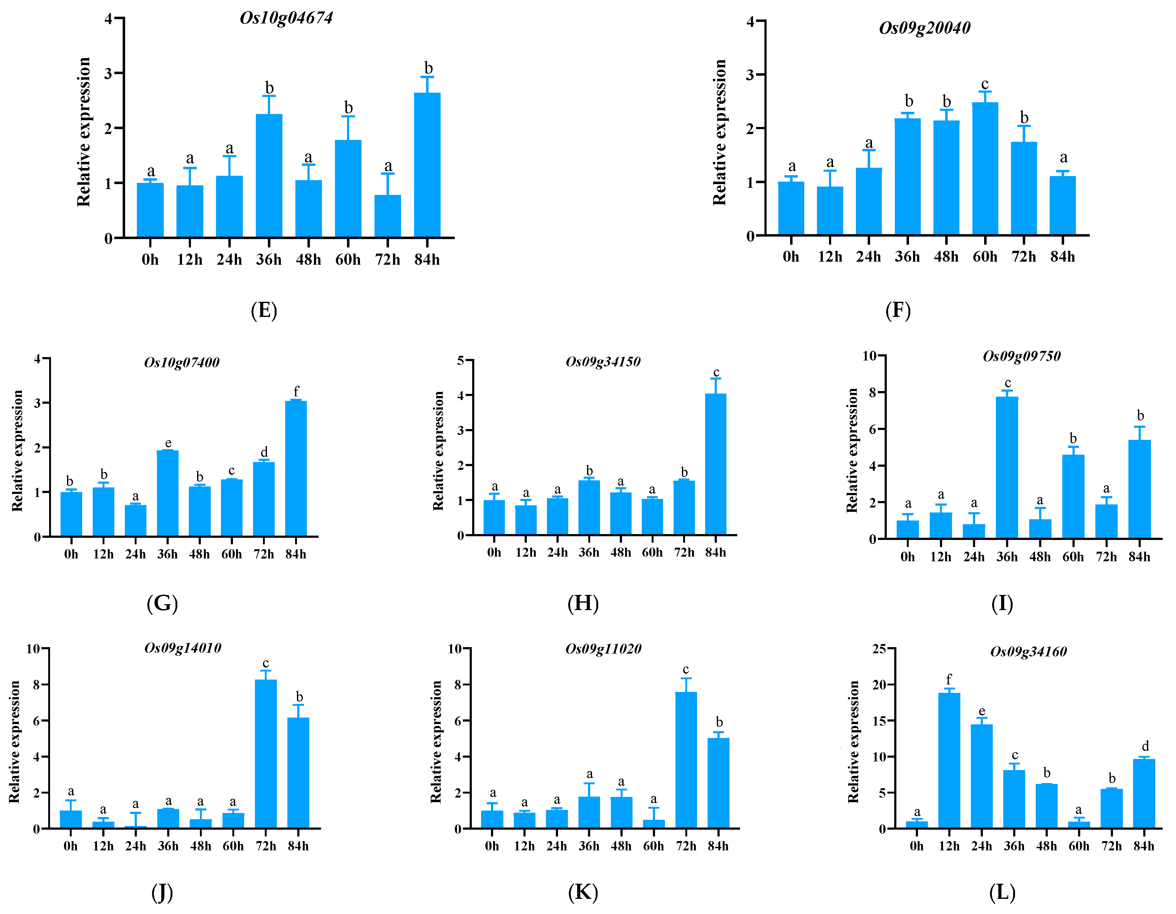 Genes 15 00924 g004b