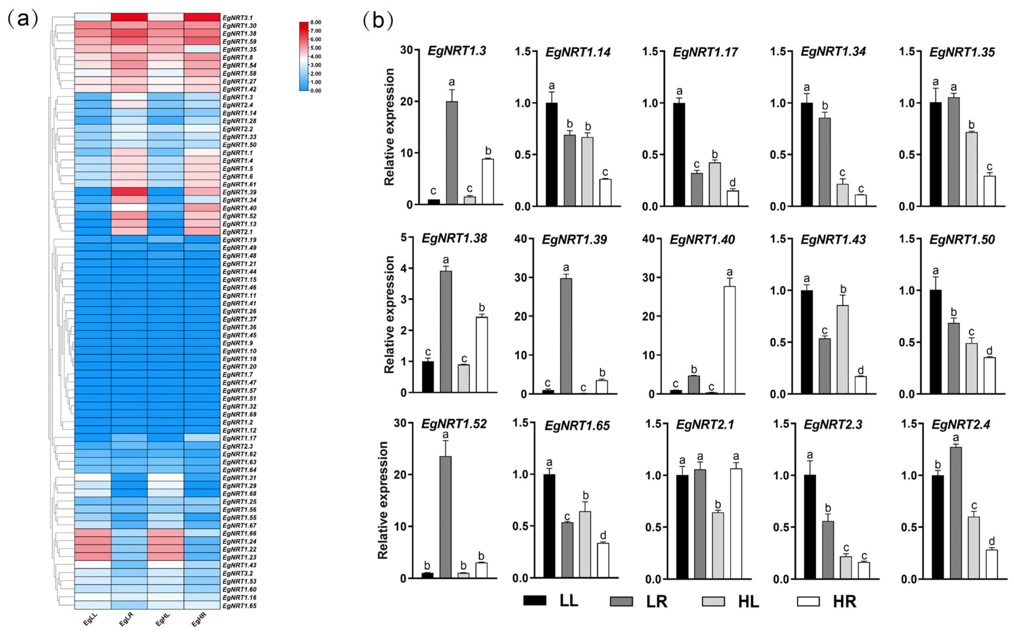 Genes 15 00930 g006