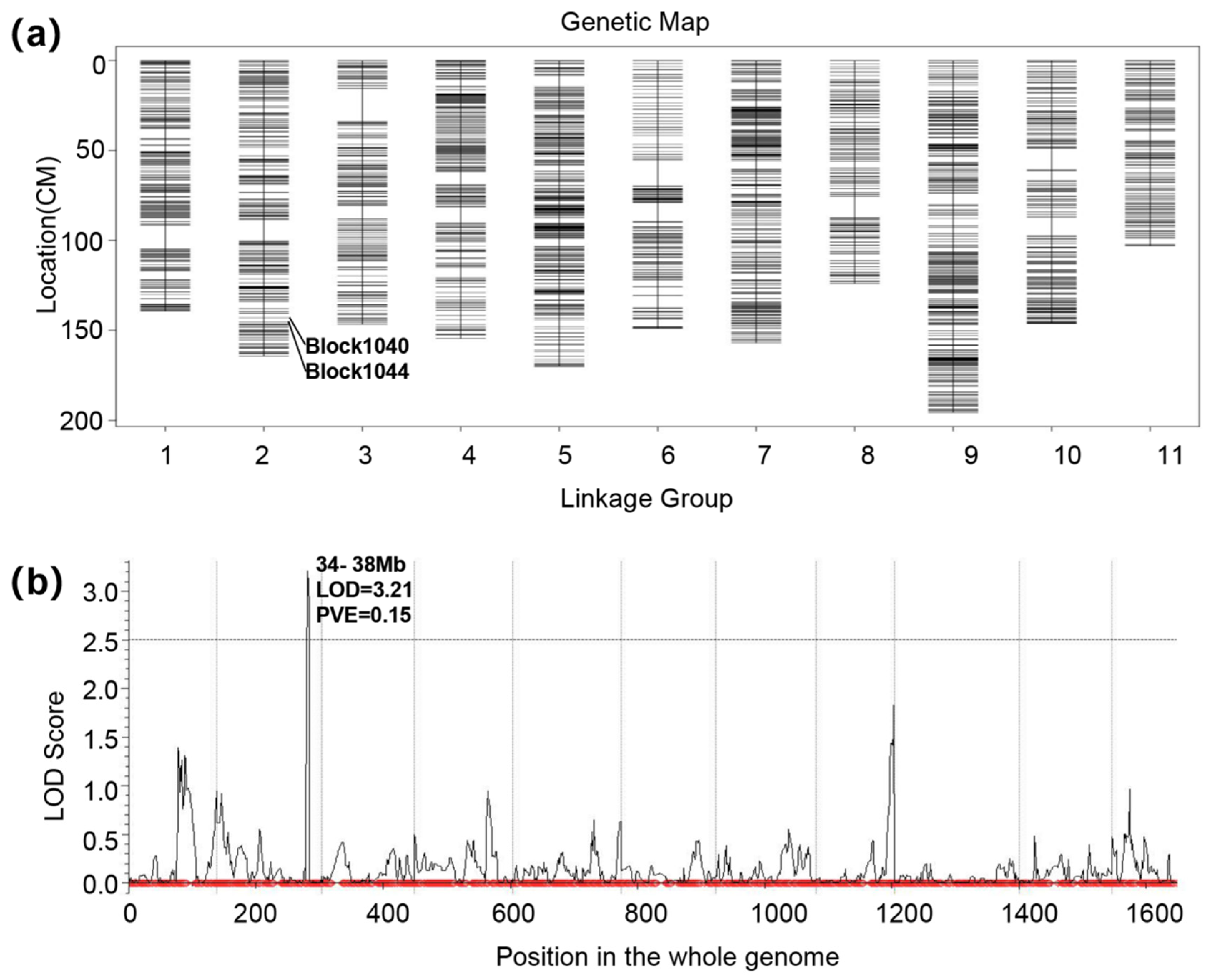 Genes 15 00933 g003