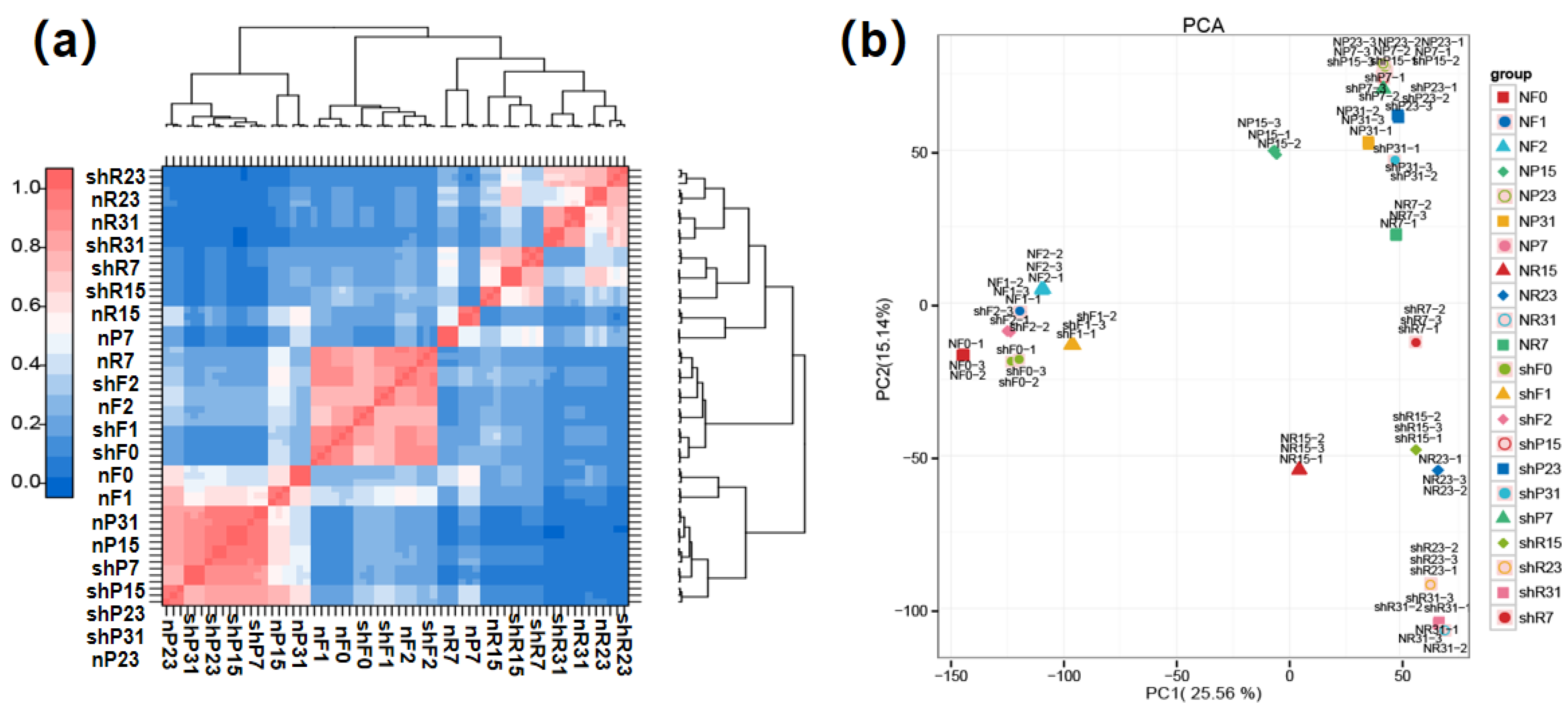 Genes 15 00933 g005