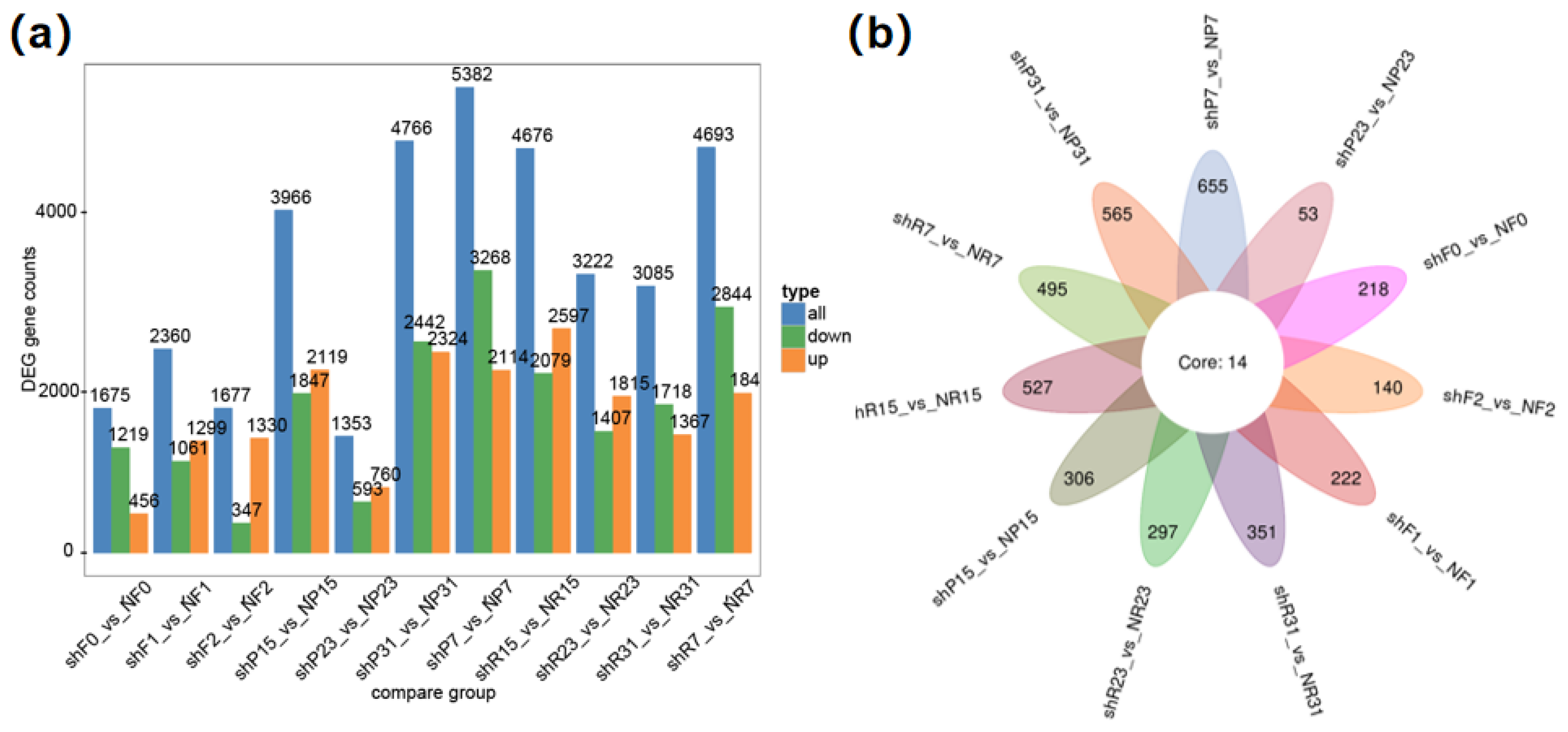 Genes 15 00933 g006
