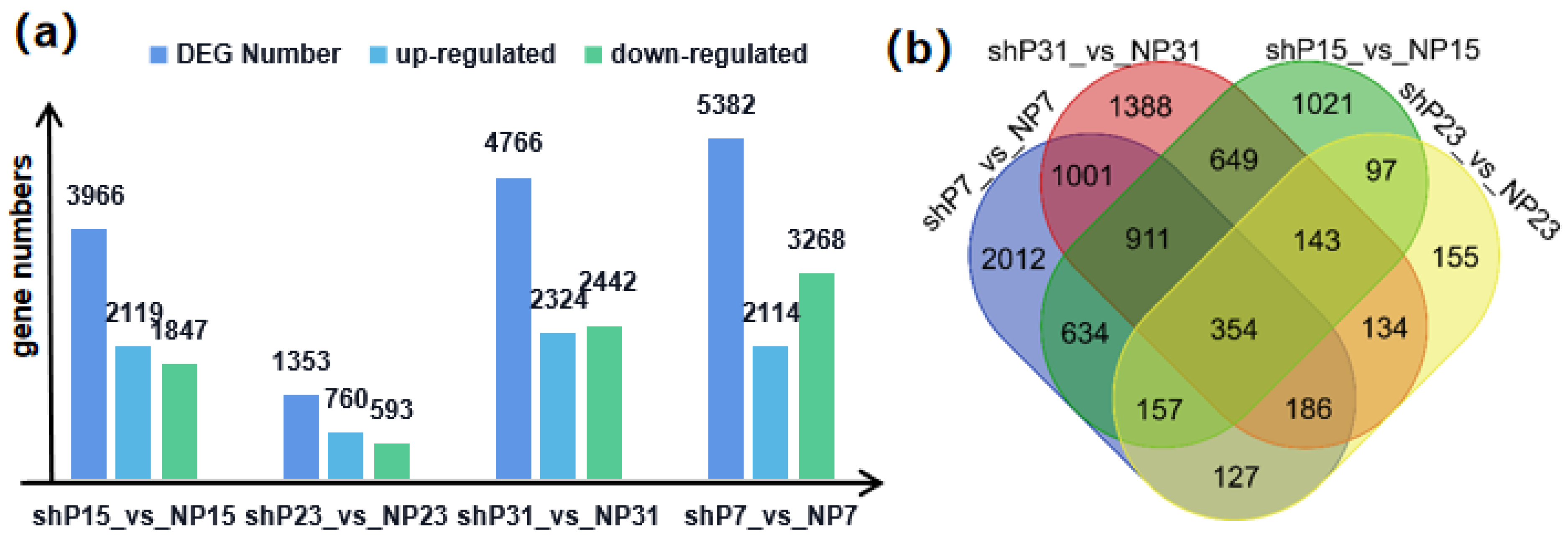 Genes 15 00933 g007