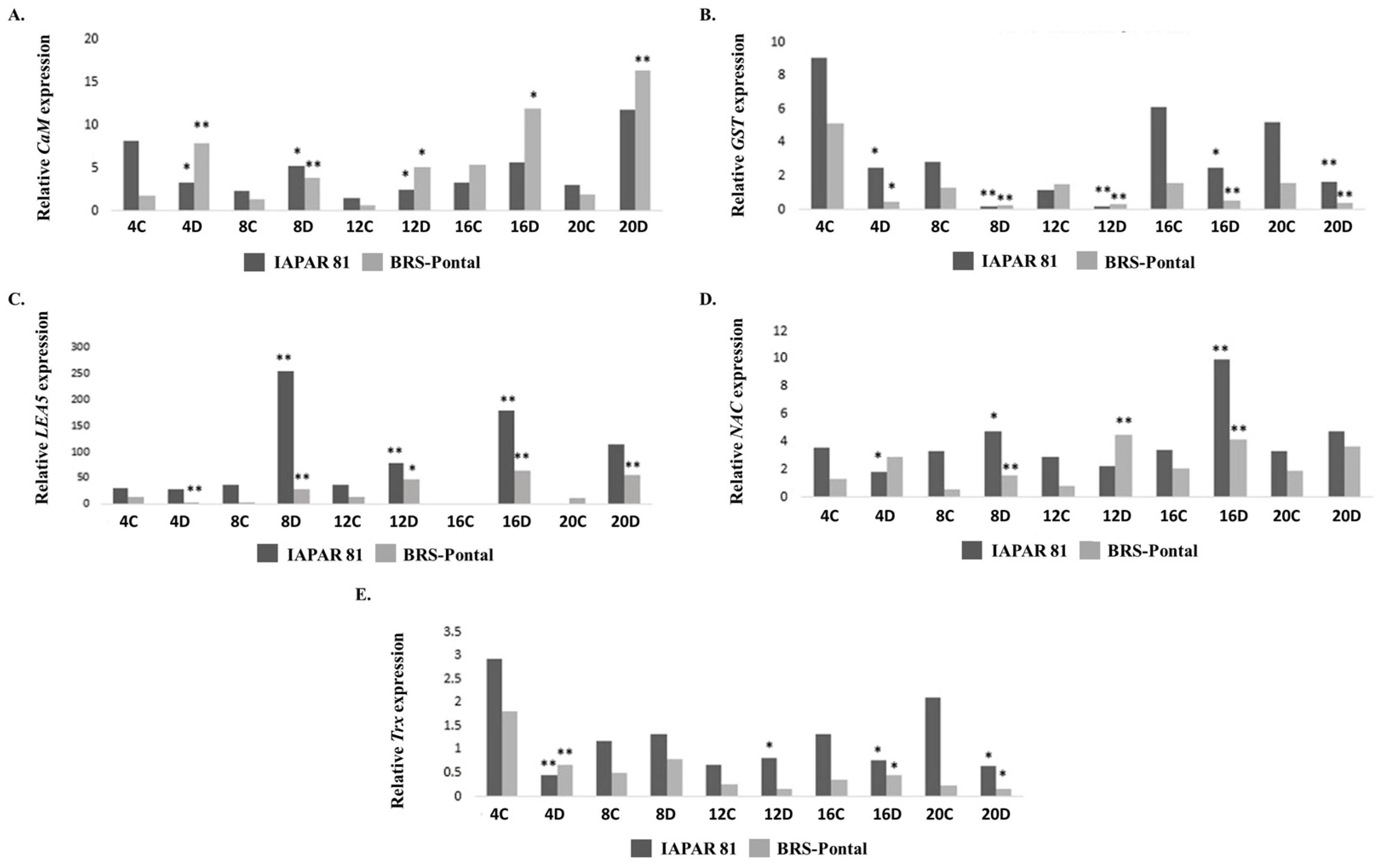 Genes 15 00935 g003 Genes 15 00935 g003
