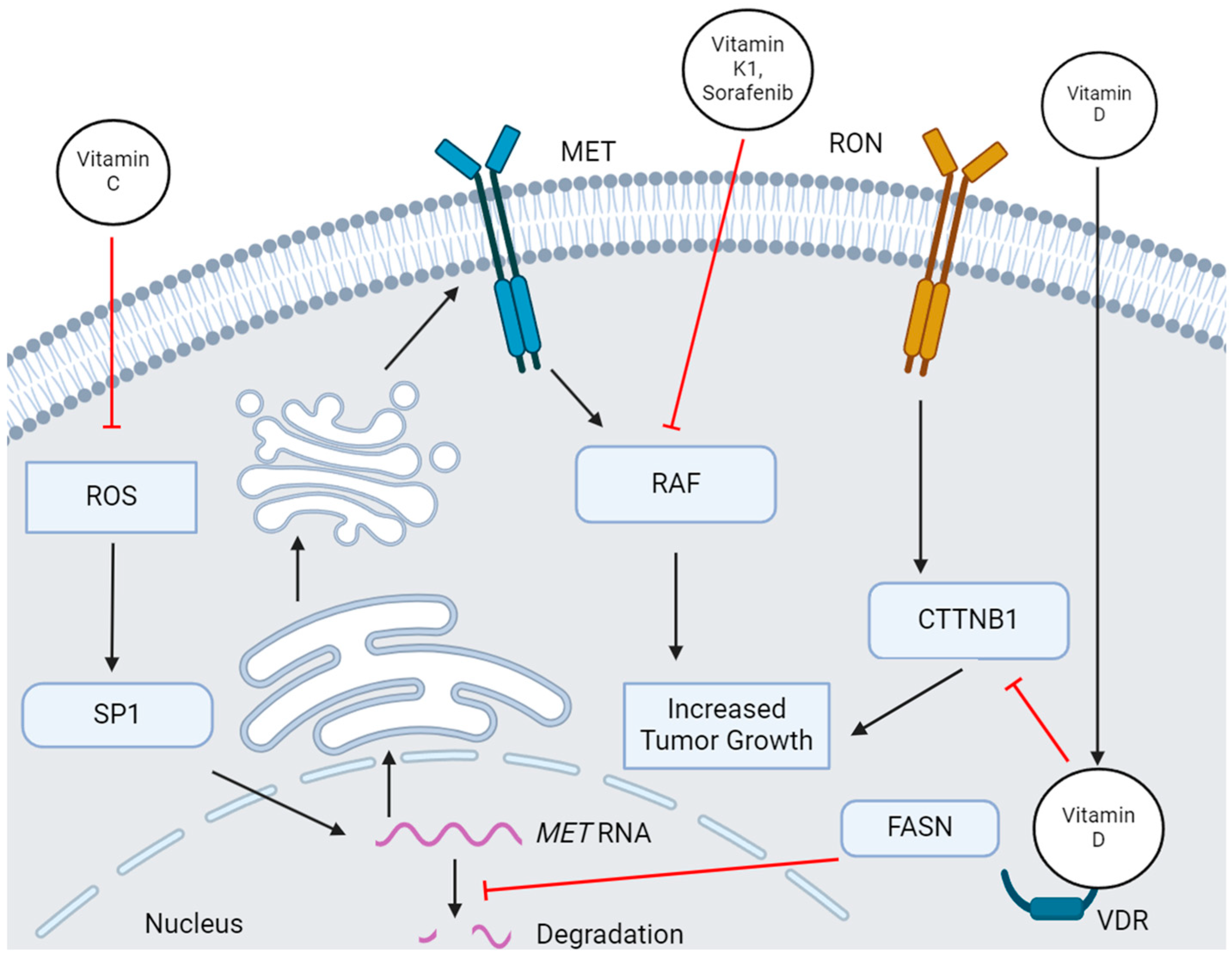 Genes 15 00953 g002 Genes 15 00953 g002