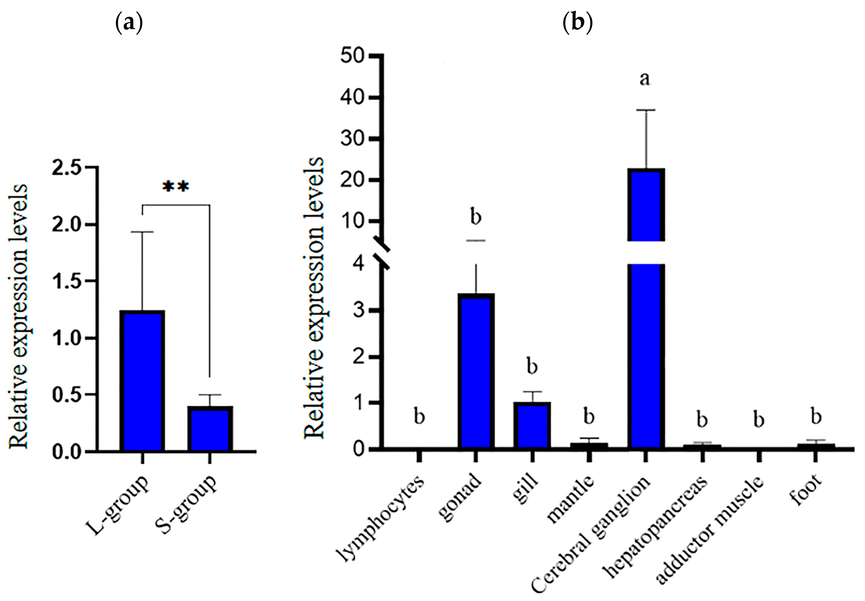 Genes 15 00960 g006