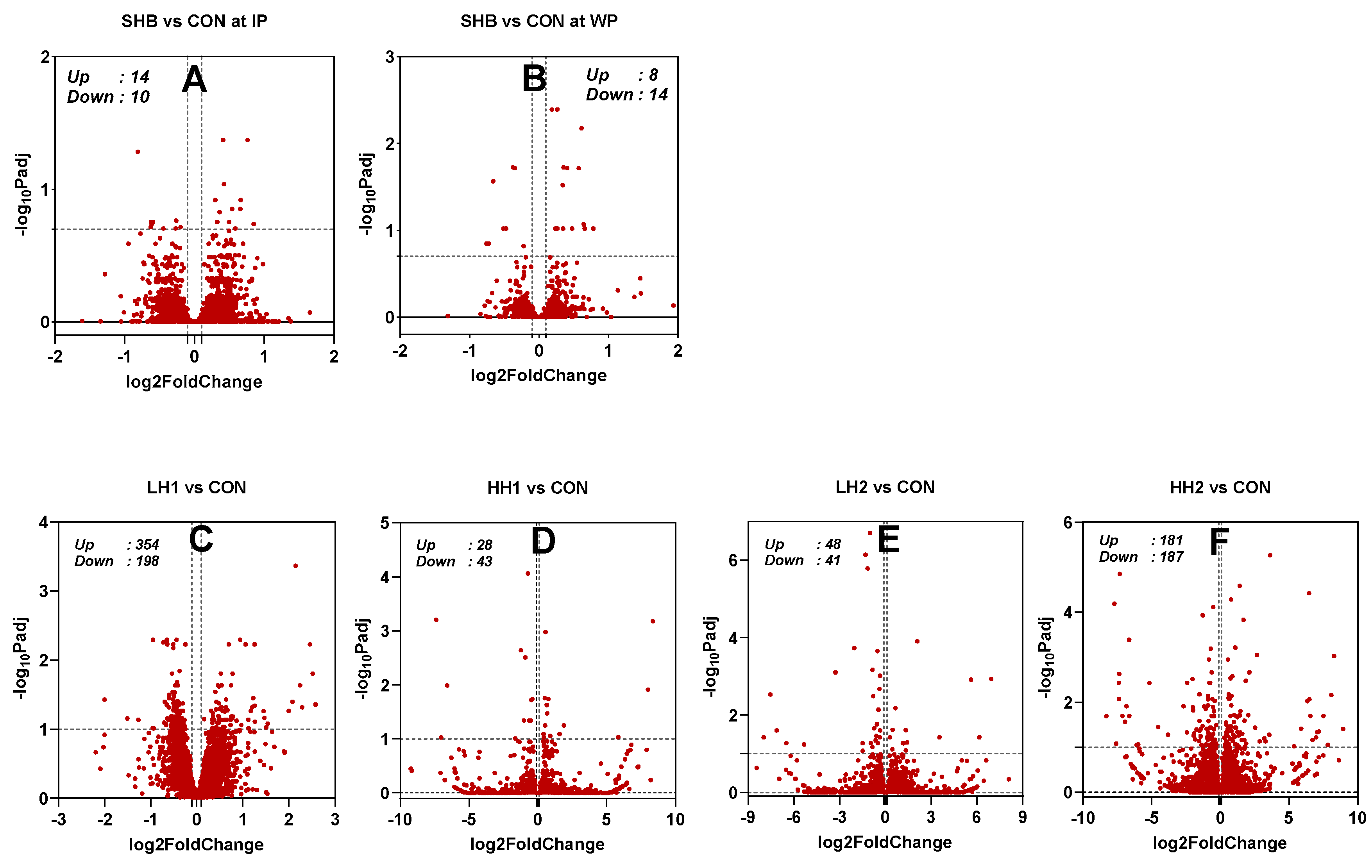 Genes 15 00963 g002