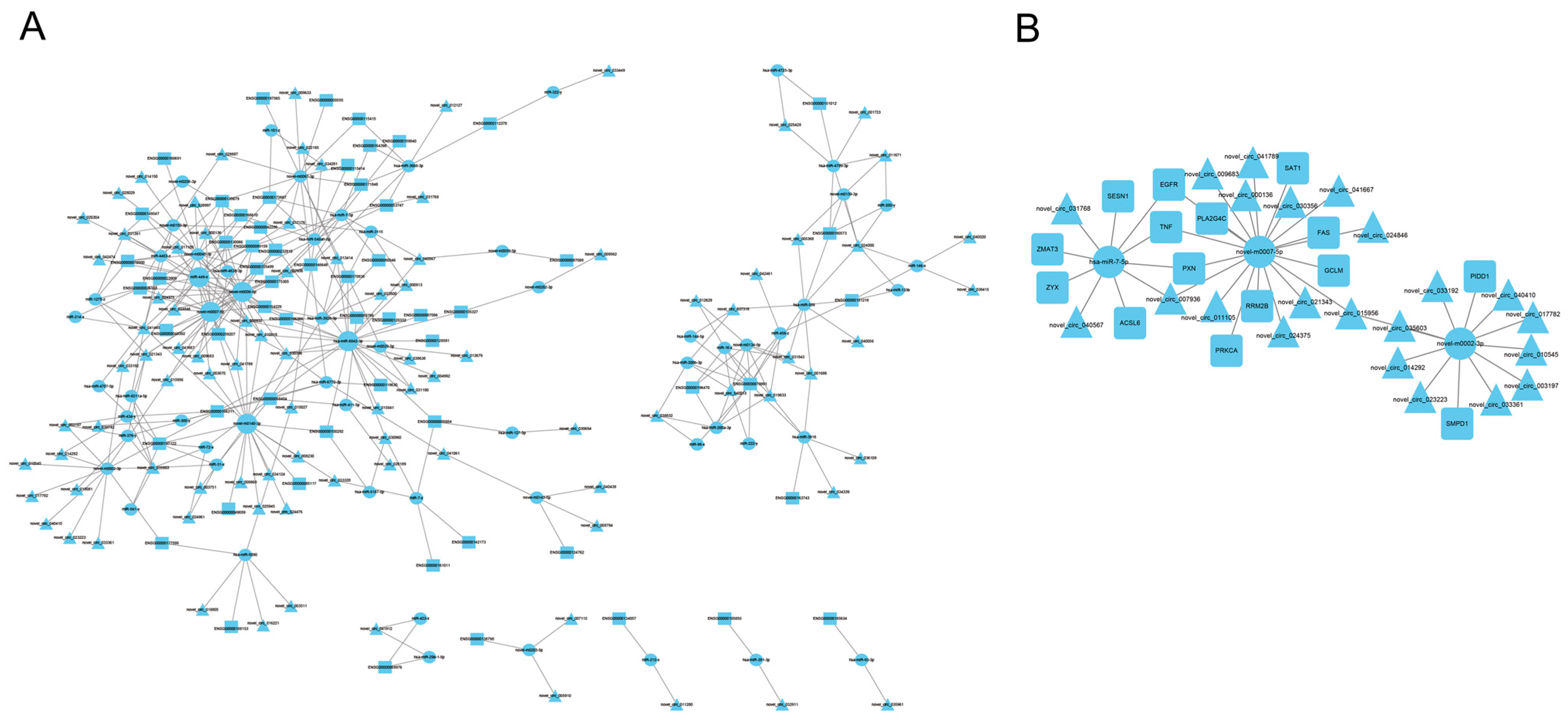 Genes 15 00965 g005