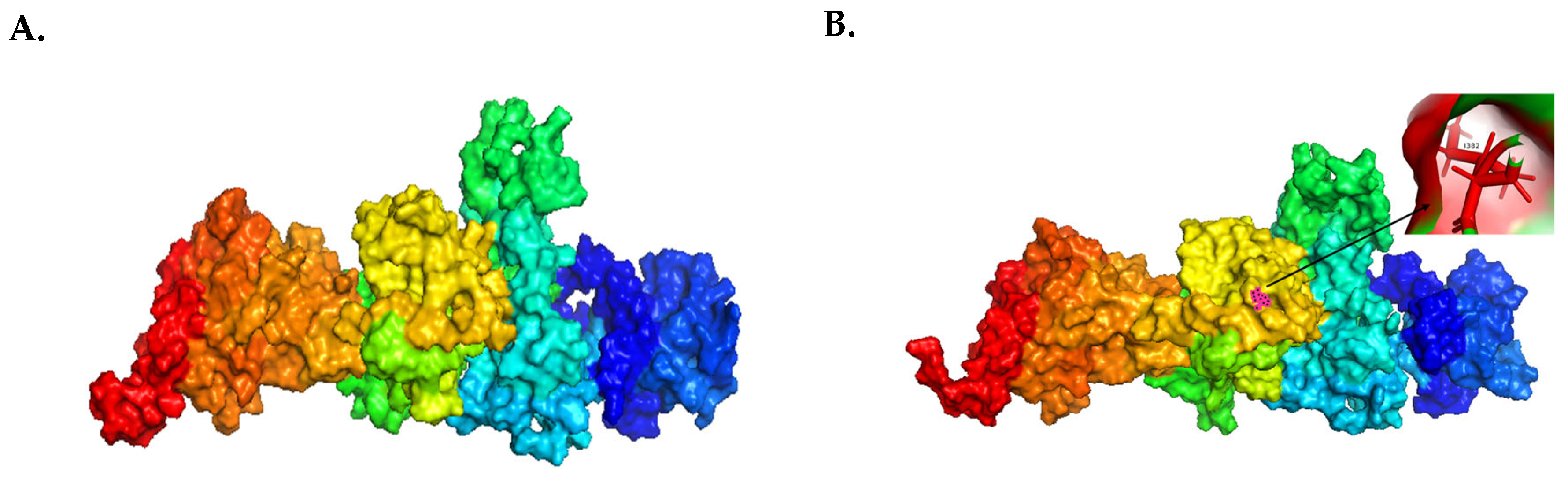 Genes 15 00966 g006a