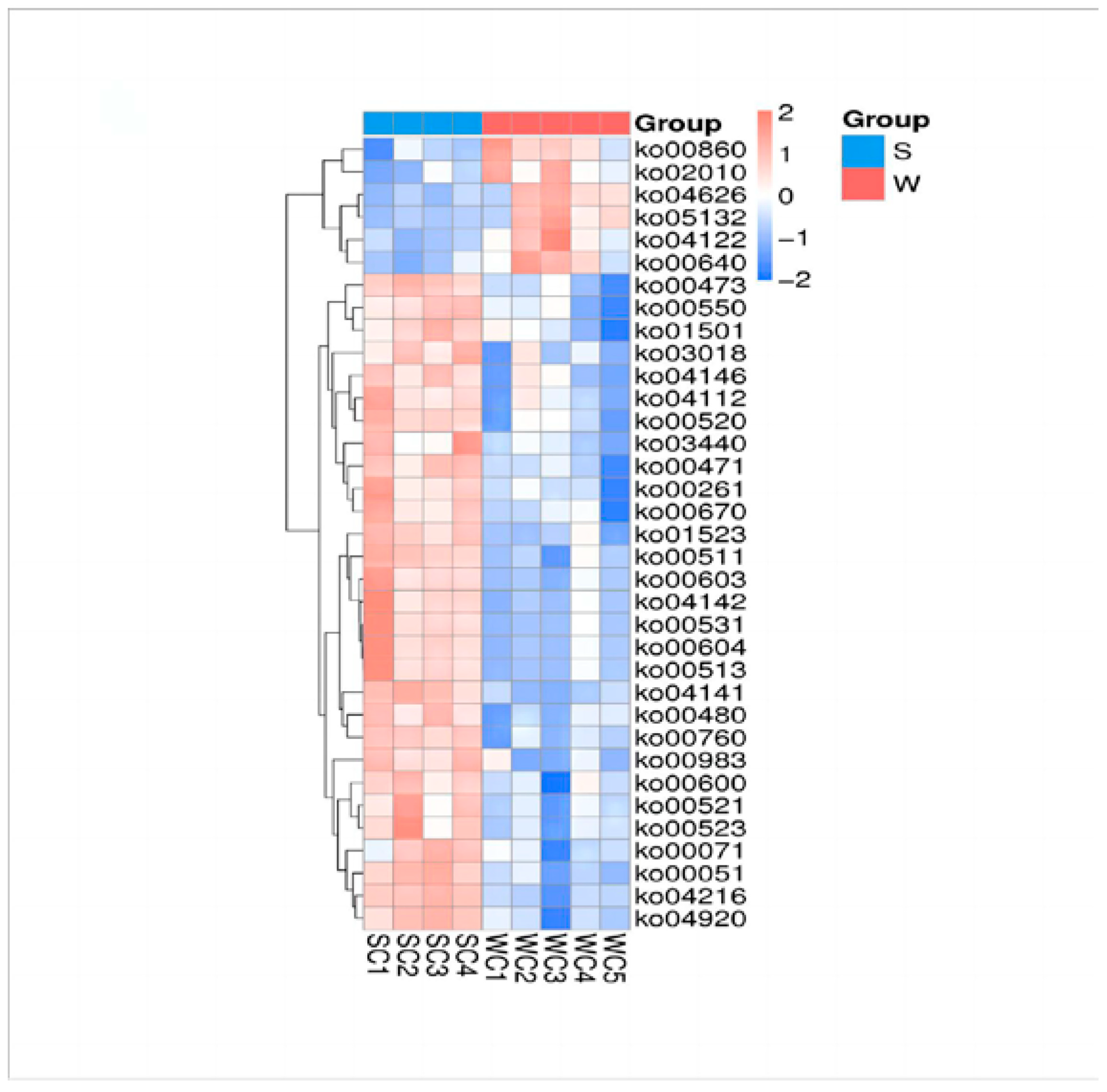 Genes 15 00970 g005