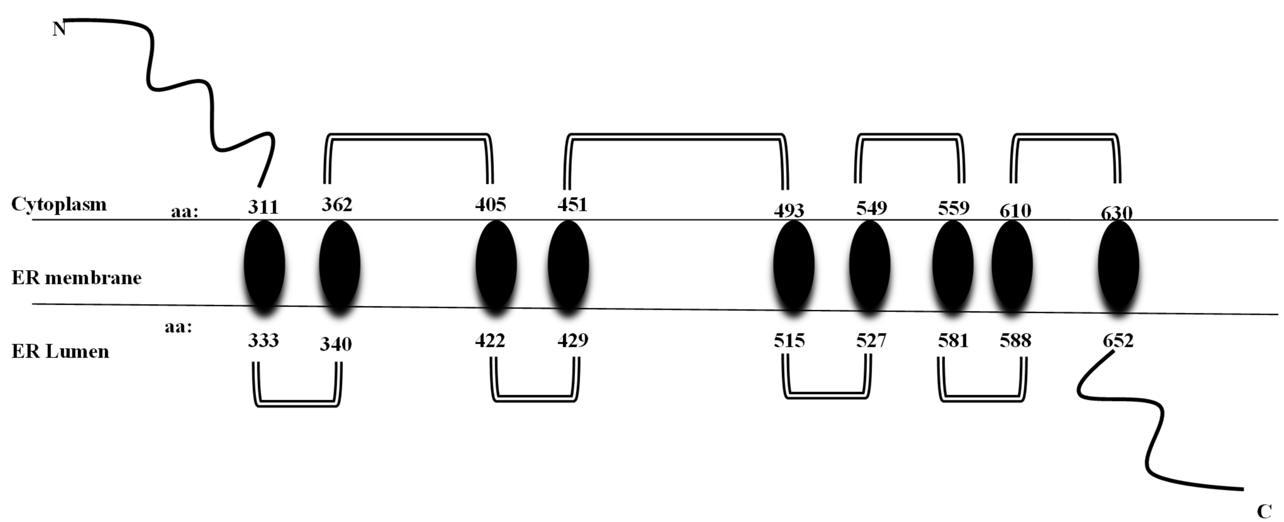 Genes 15 00984 g002 Genes 15 00984 g002