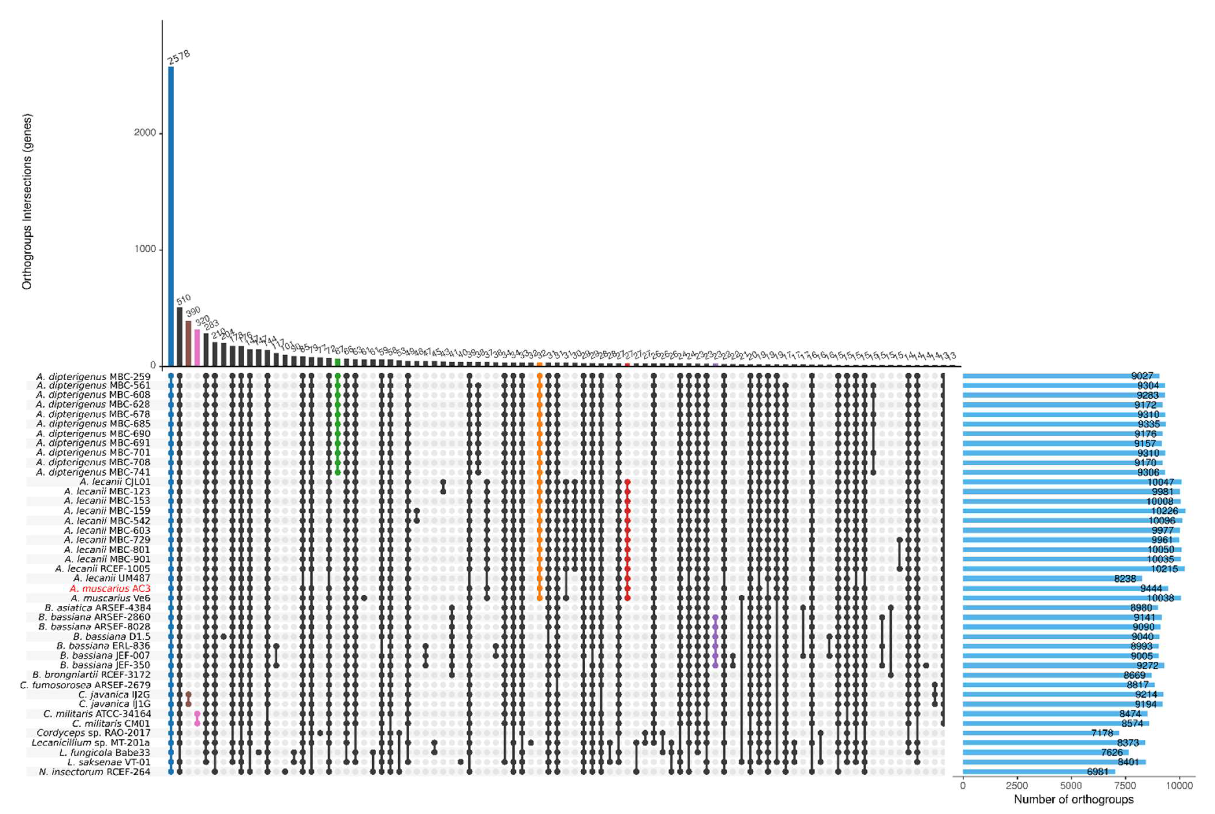 Genes 15 00993 g004