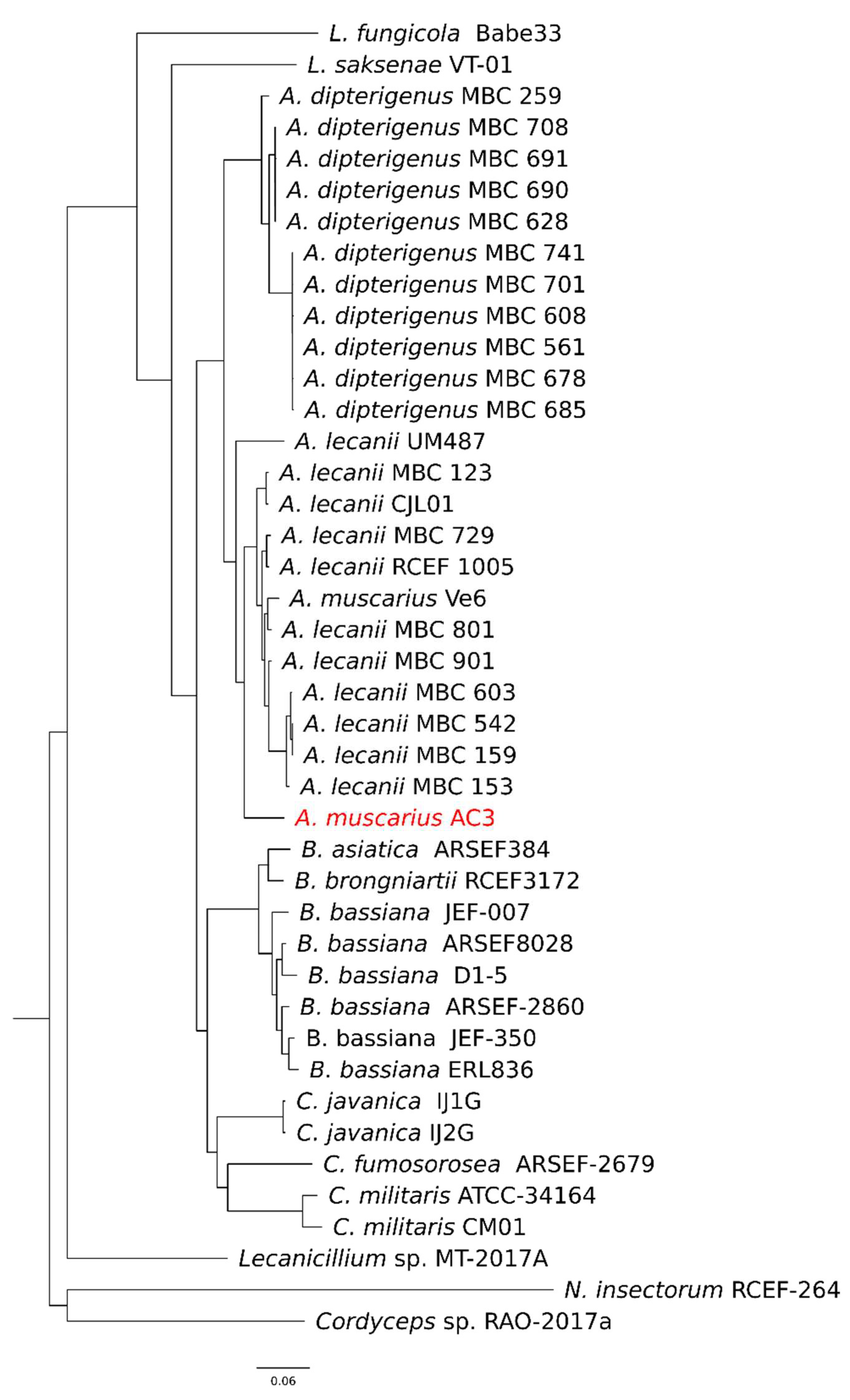 Genes 15 00993 g005