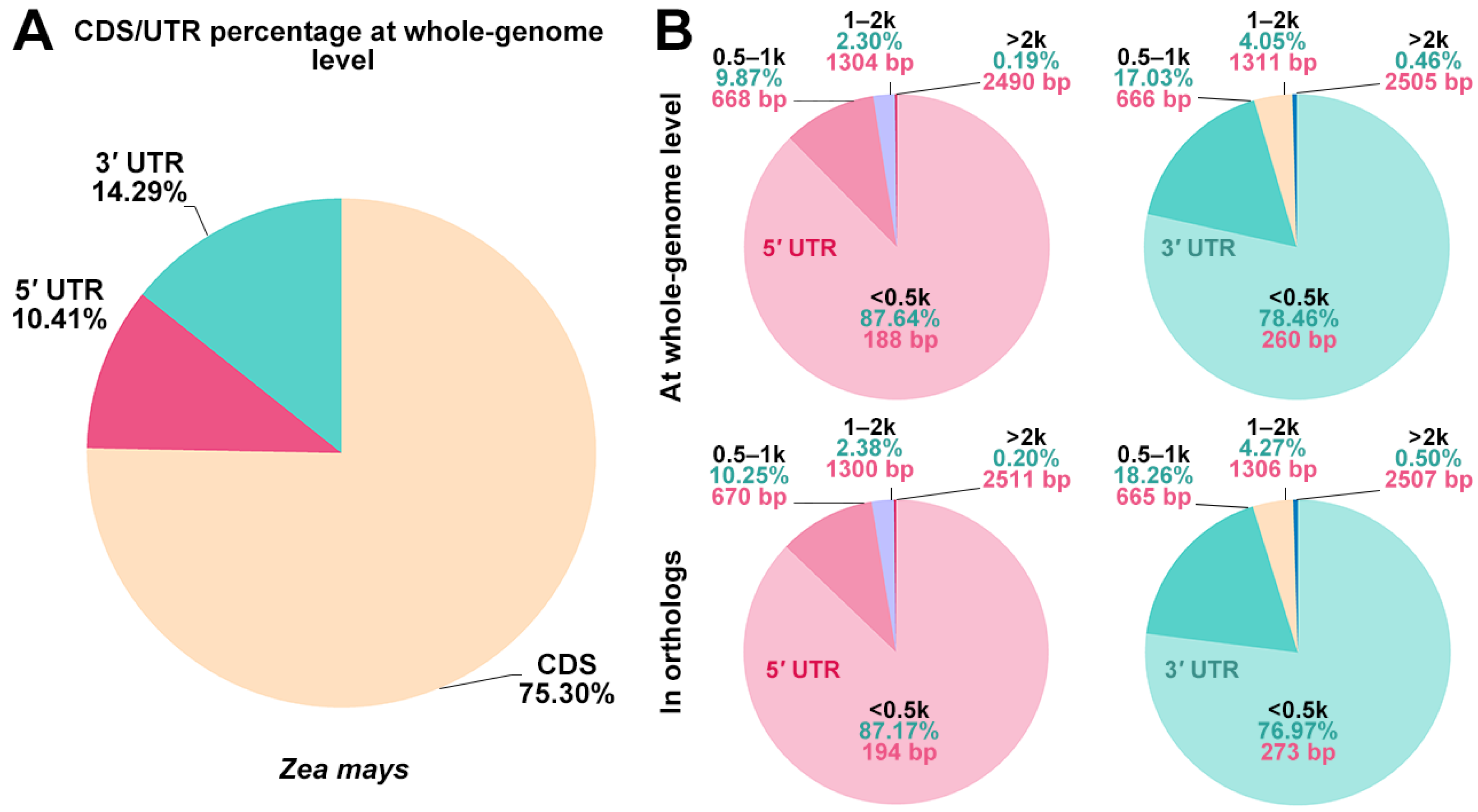 Genes 15 00994 g001