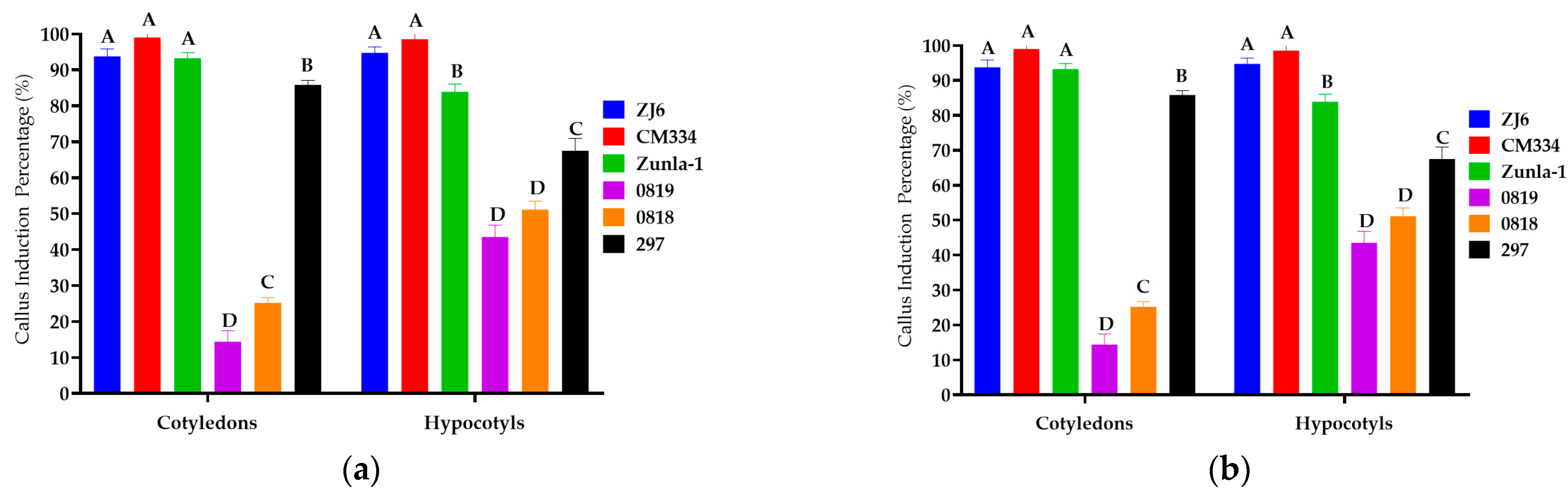 Genes 15 01018 g002a