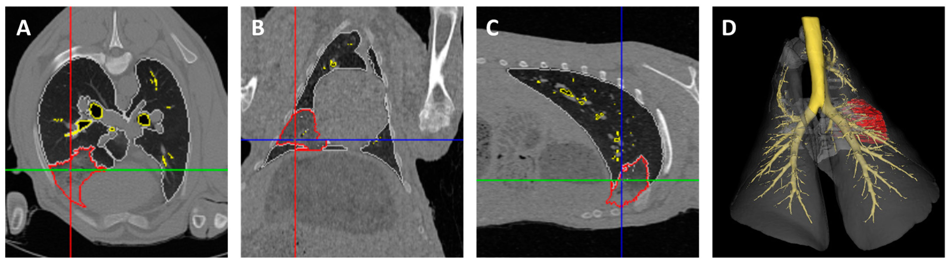Genes 15 01019 g002 Genes 15 01019 g002