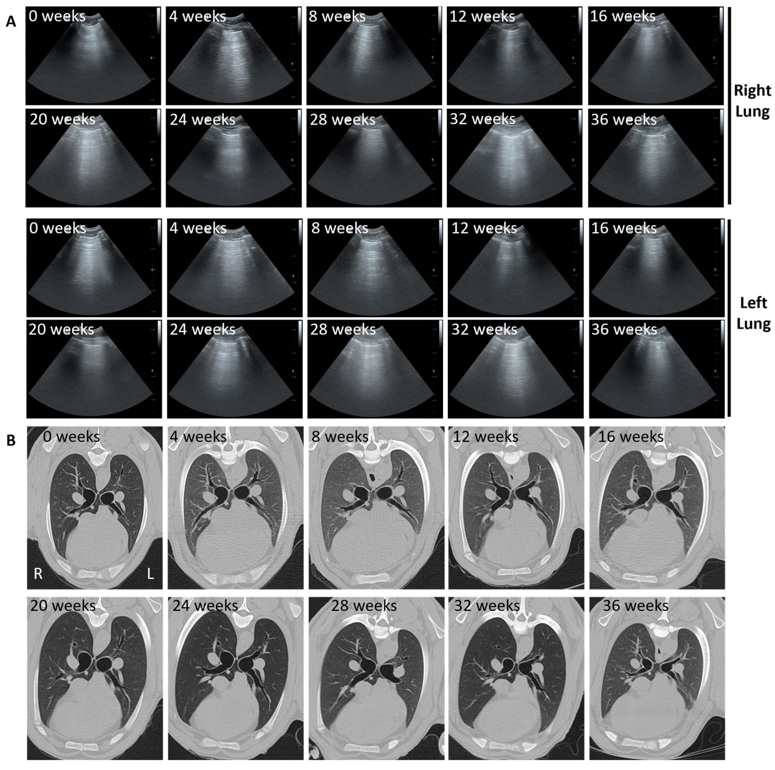 Genes 15 01019 g005 Genes 15 01019 g005