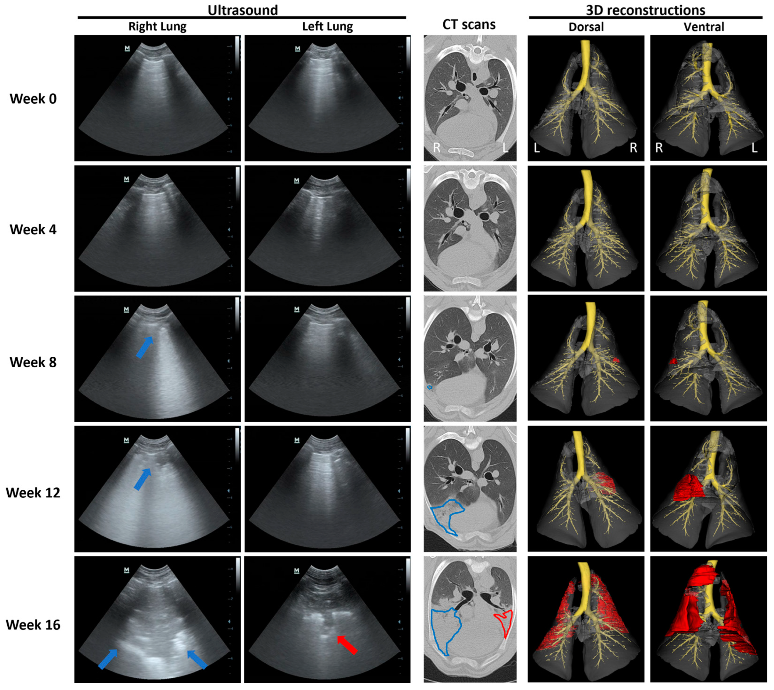 Genes 15 01019 g006 Genes 15 01019 g006