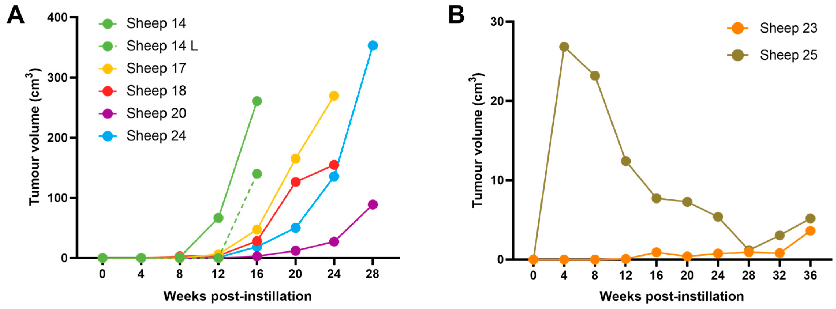 Genes 15 01019 g008 Genes 15 01019 g008