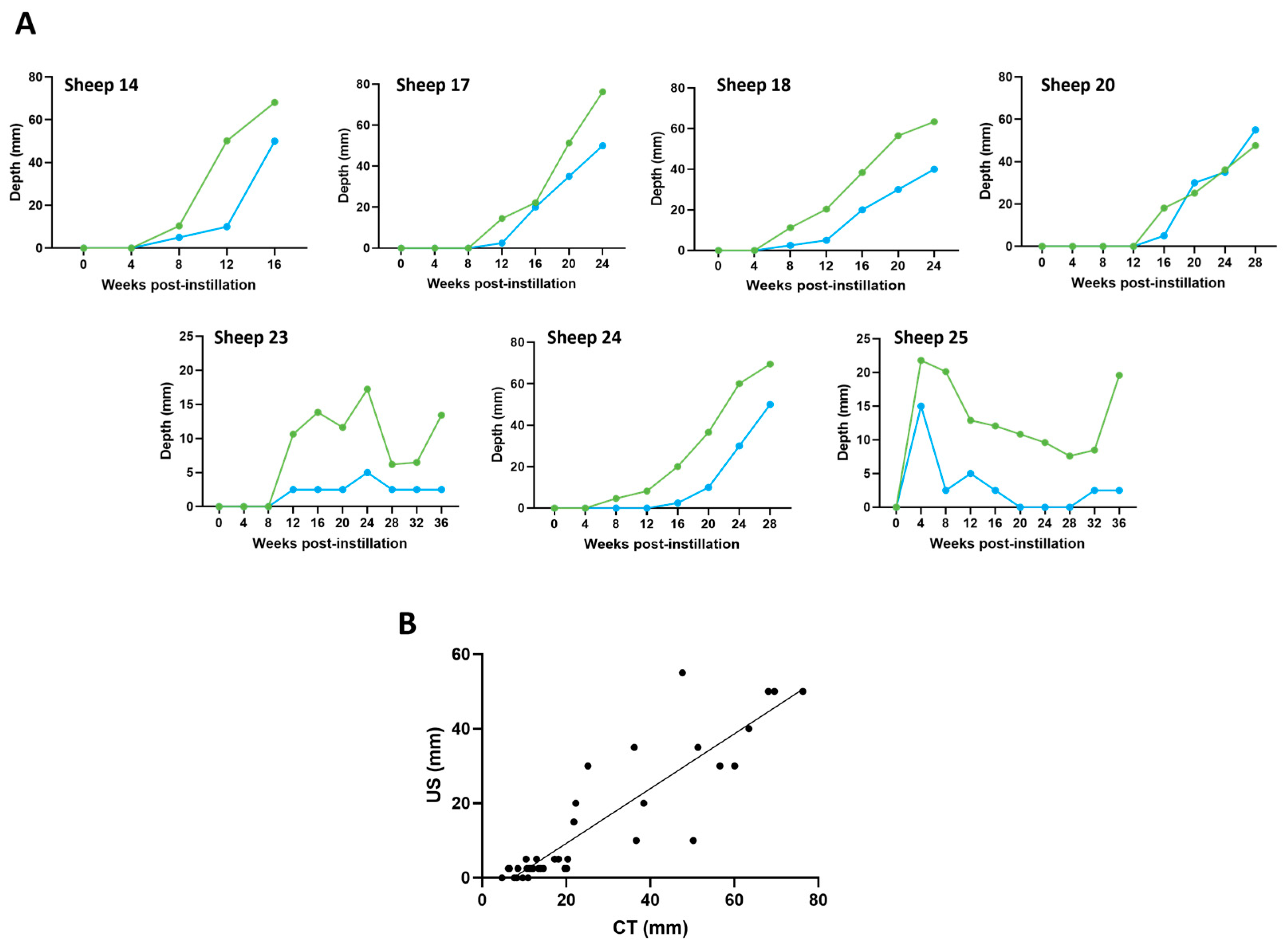 Genes 15 01019 g009 Genes 15 01019 g009