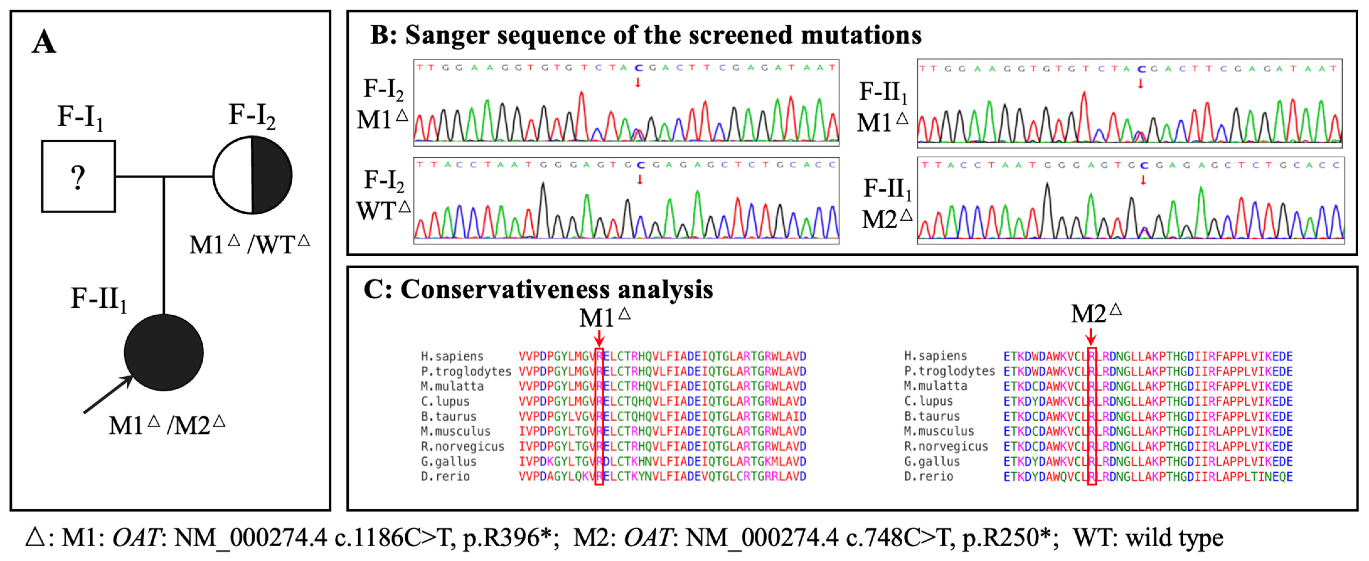 Genes 15 01020 g001