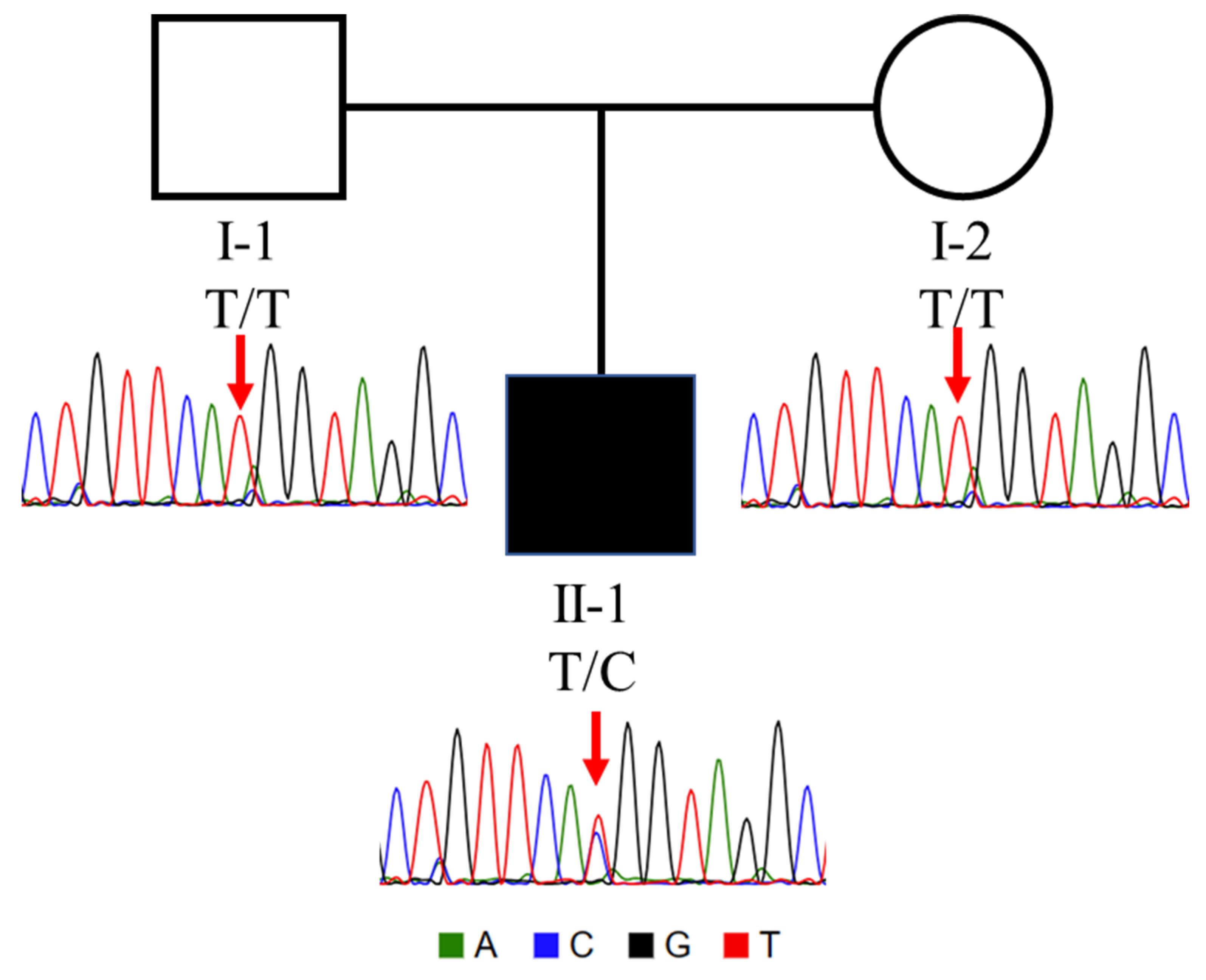 Genes 15 01031 g002