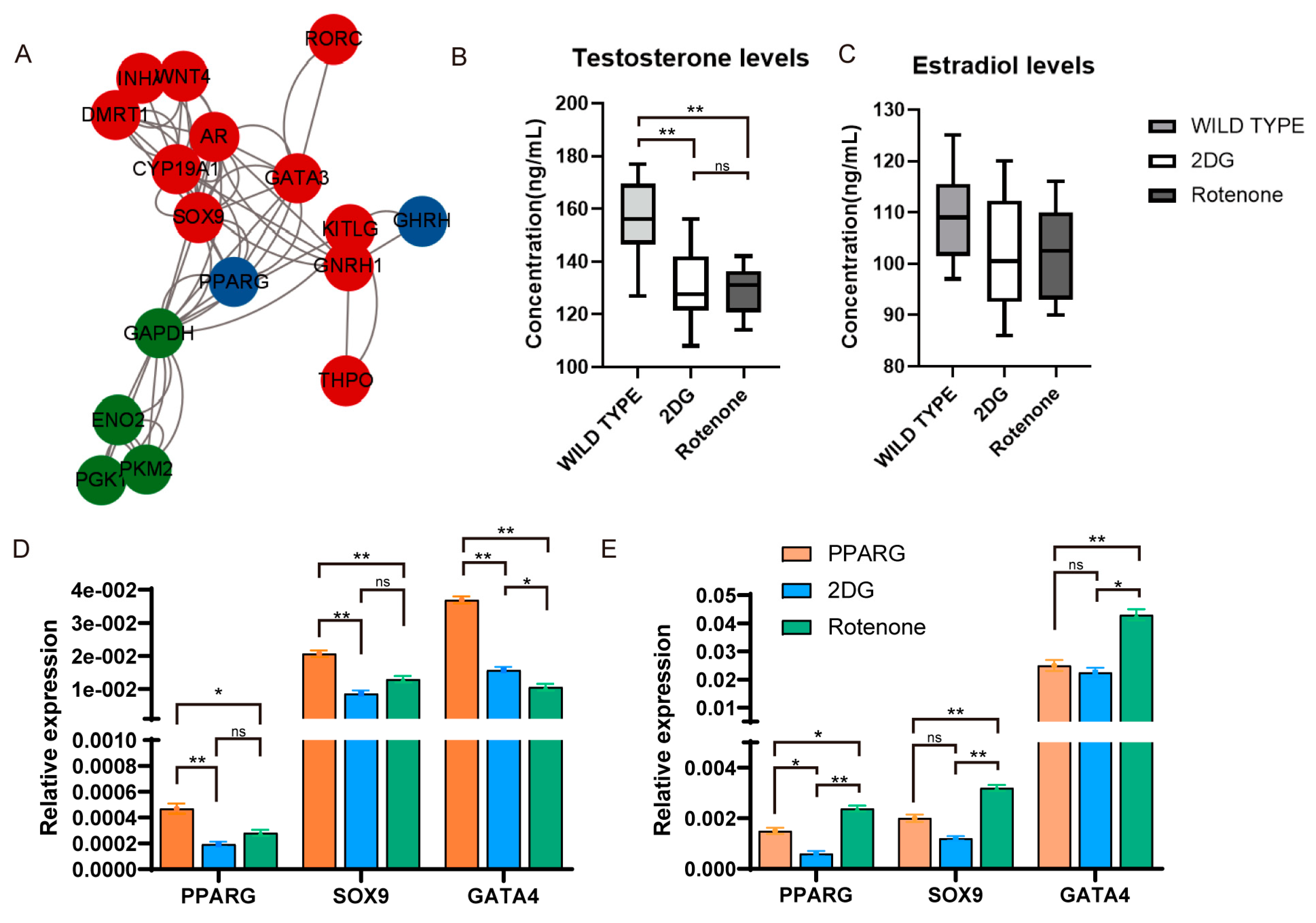 Genes 15 01035 g004