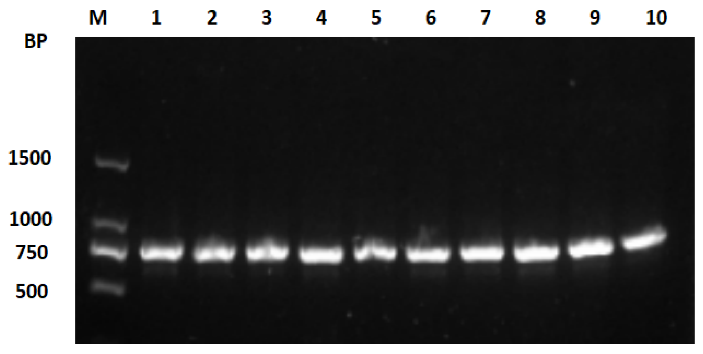 Genes 15 01037 g003