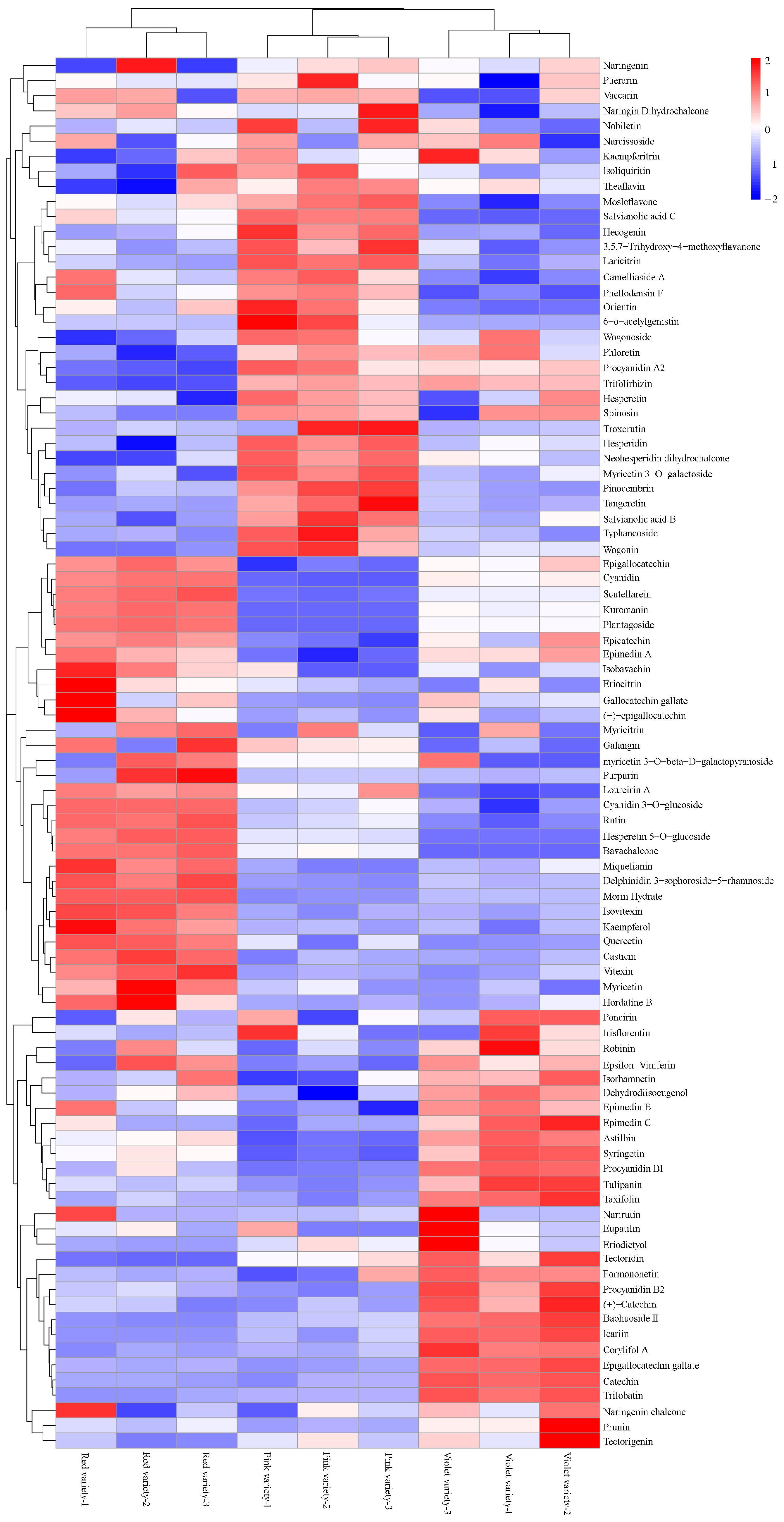 Genes 15 01041 g004