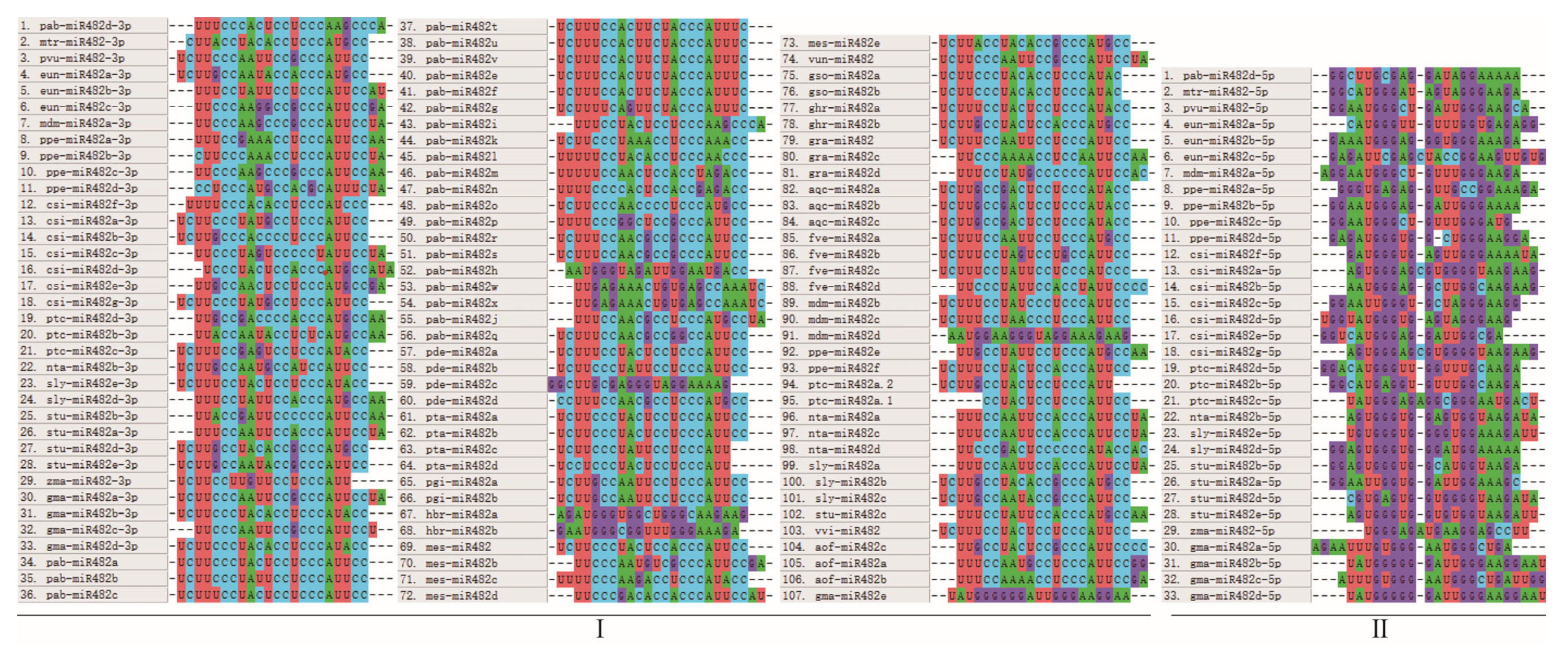 Genes 15 01043 g003