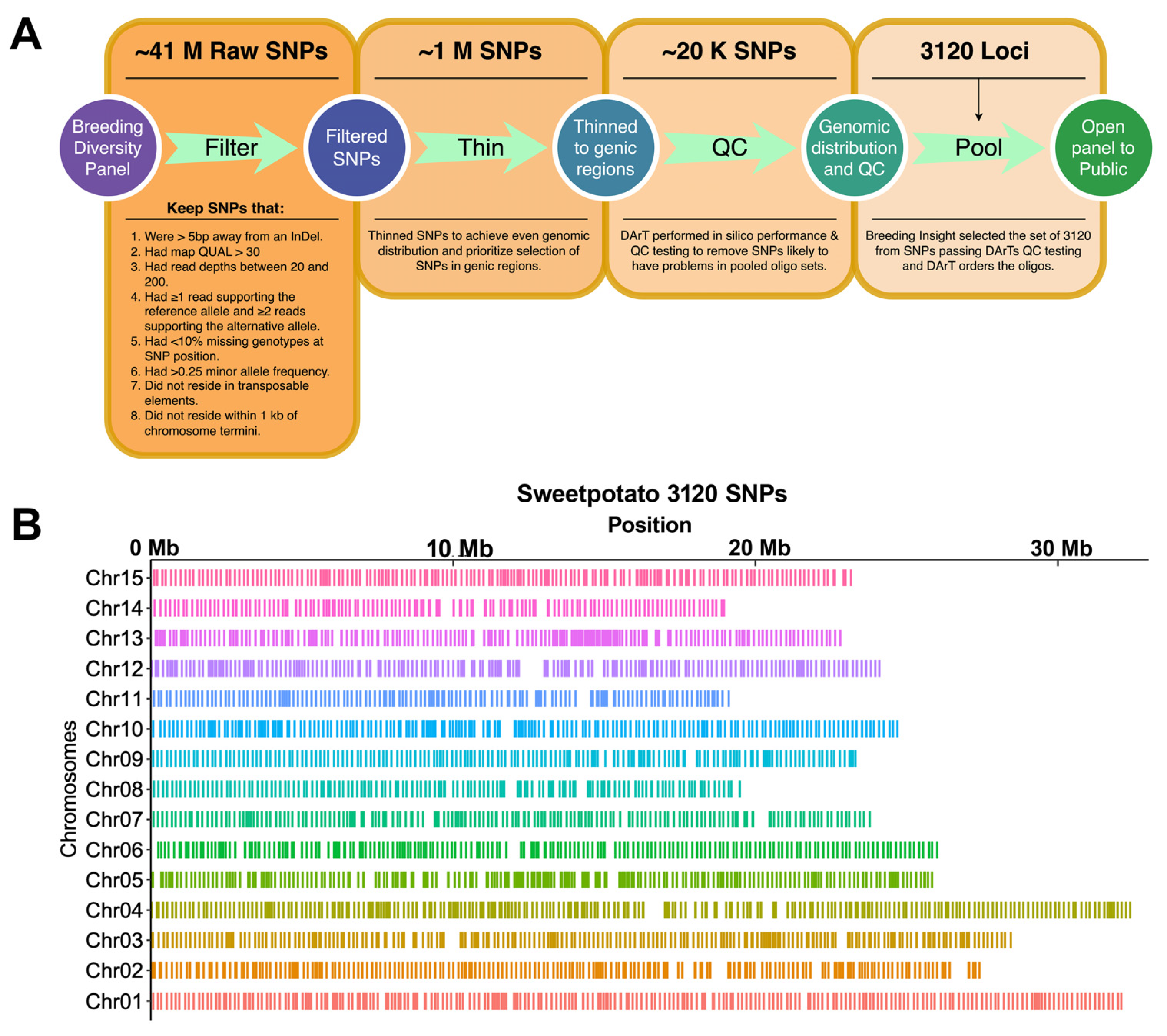 Genes 15 01047 g001