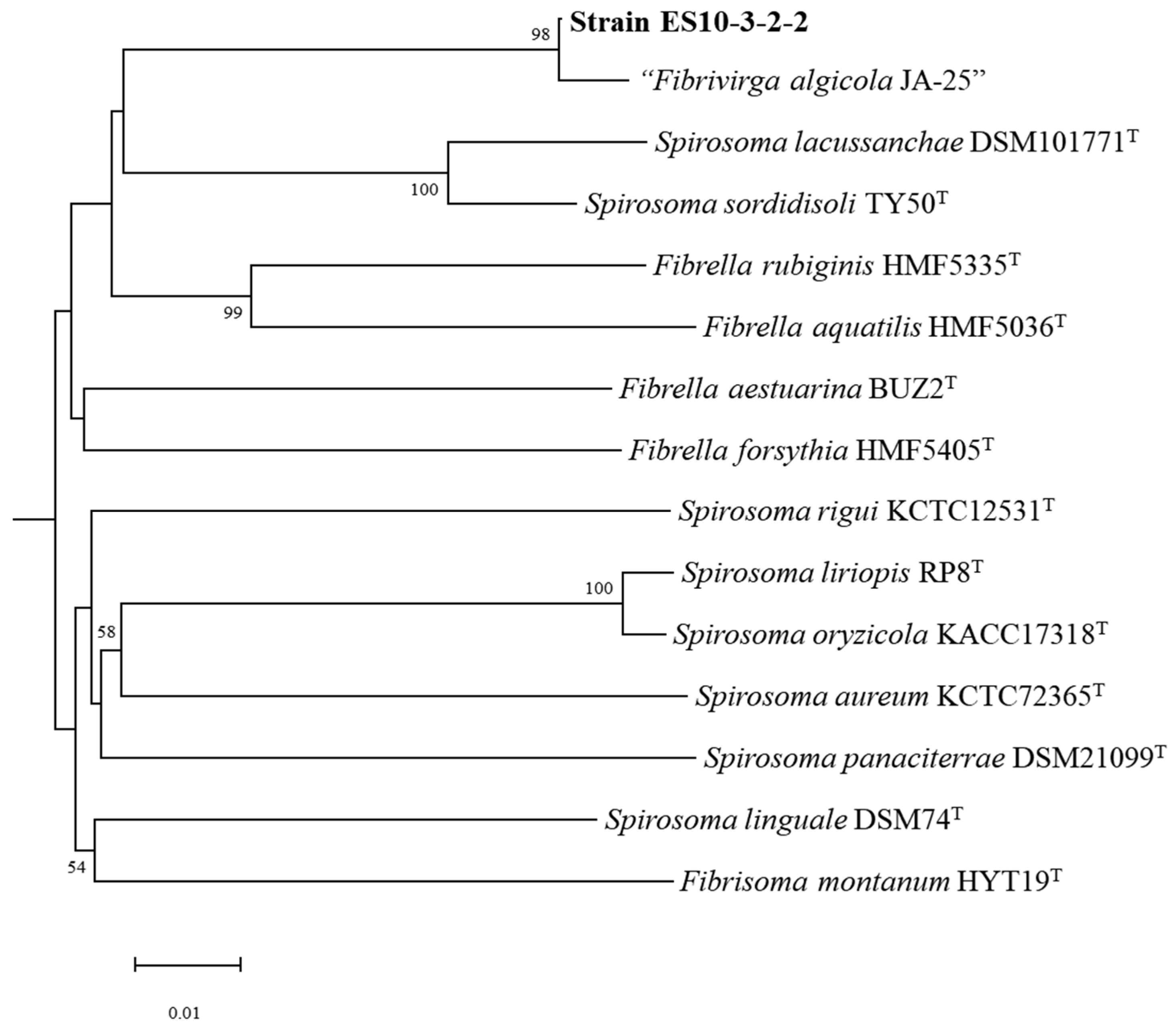 Genes 15 01048 g001