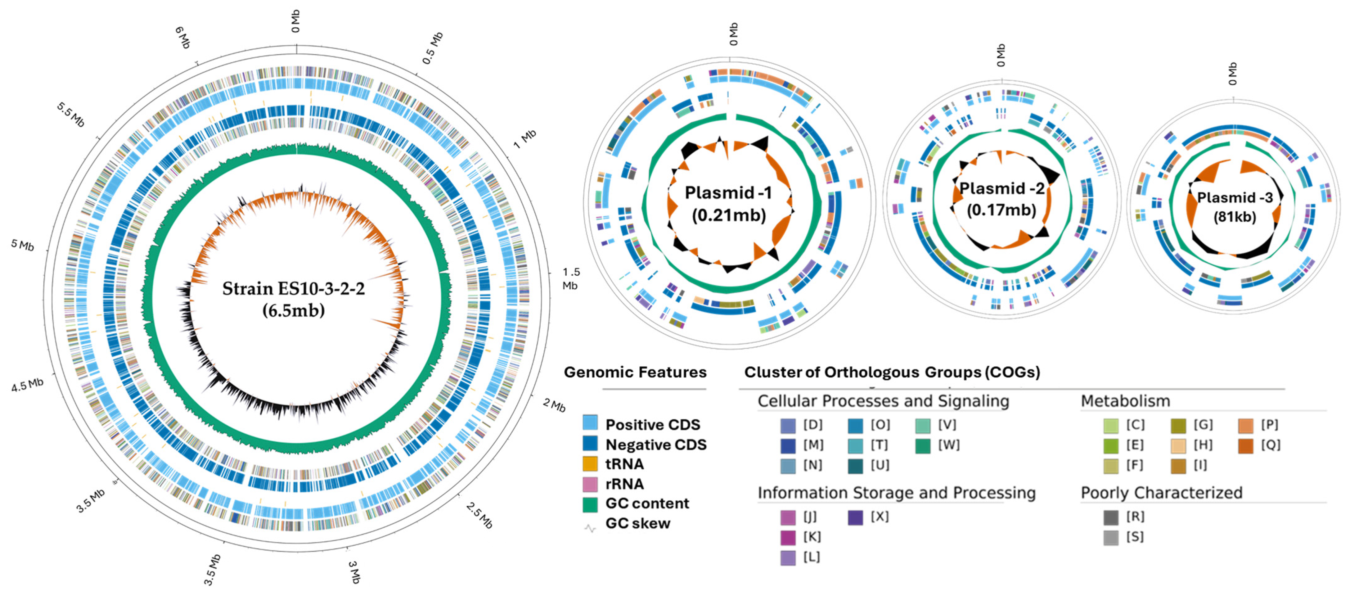 Genes 15 01048 g002