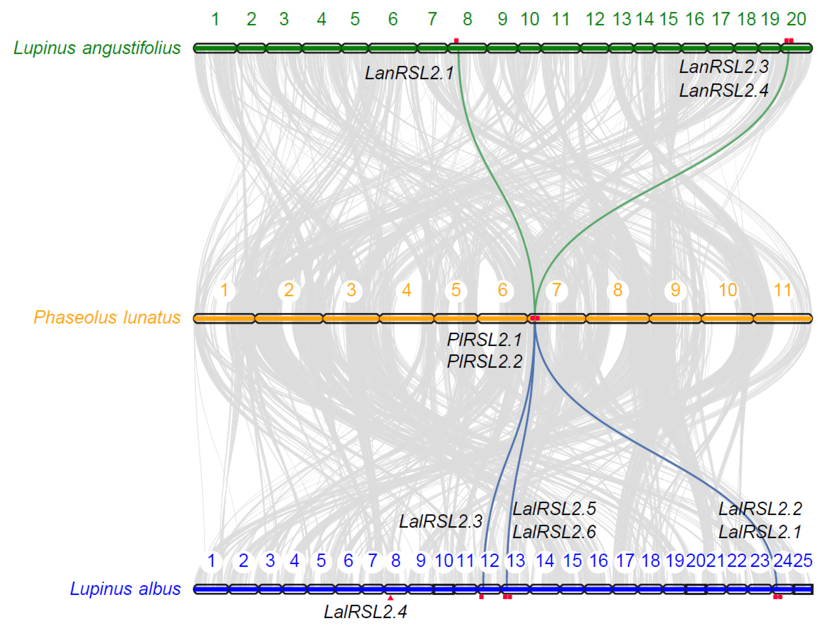 Genes 15 01049 g003