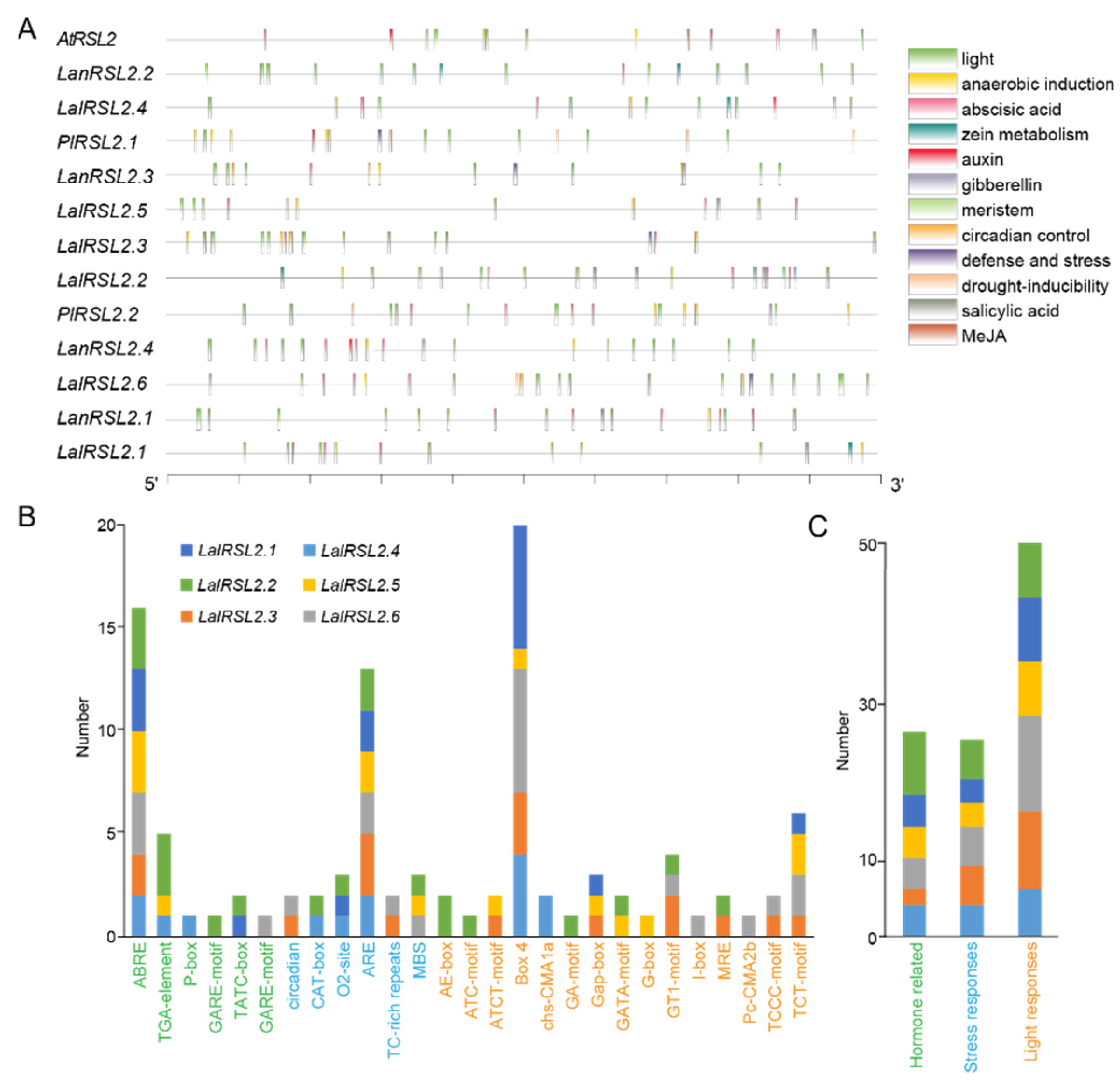 Genes 15 01049 g005