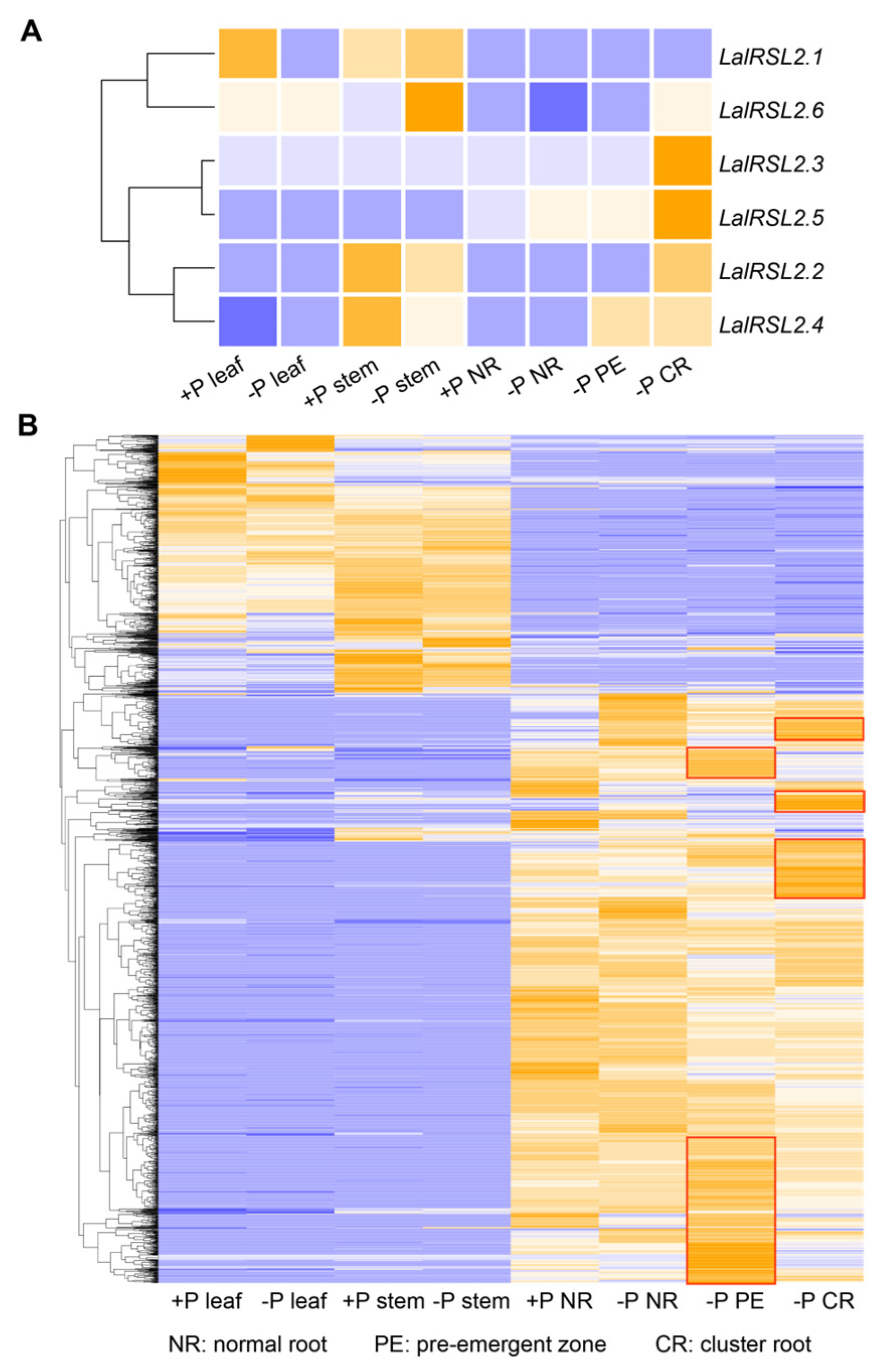 Genes 15 01049 g006