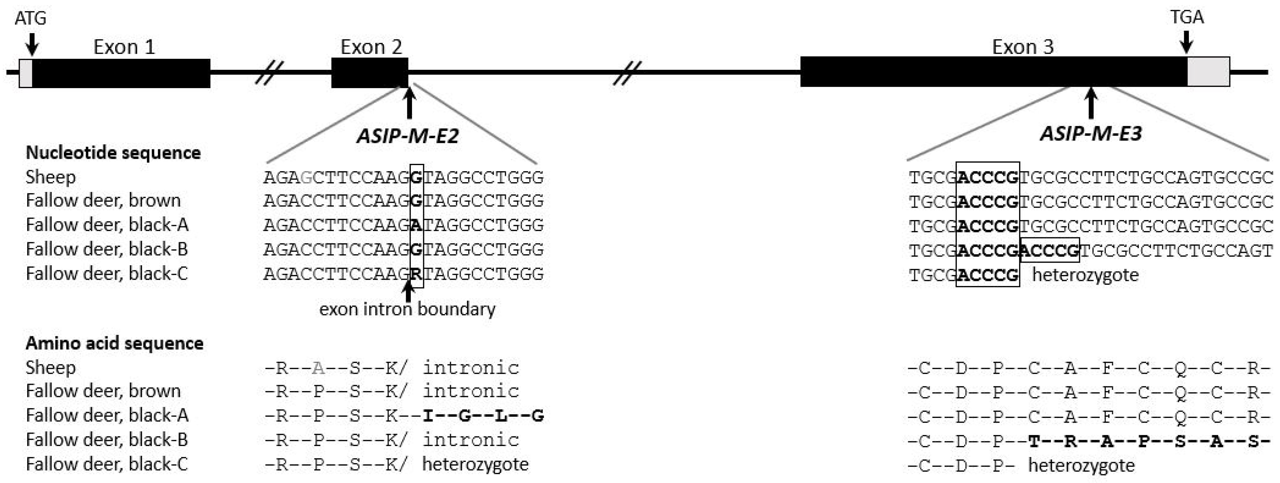 Genes 15 01055 g002 Genes 15 01055 g002