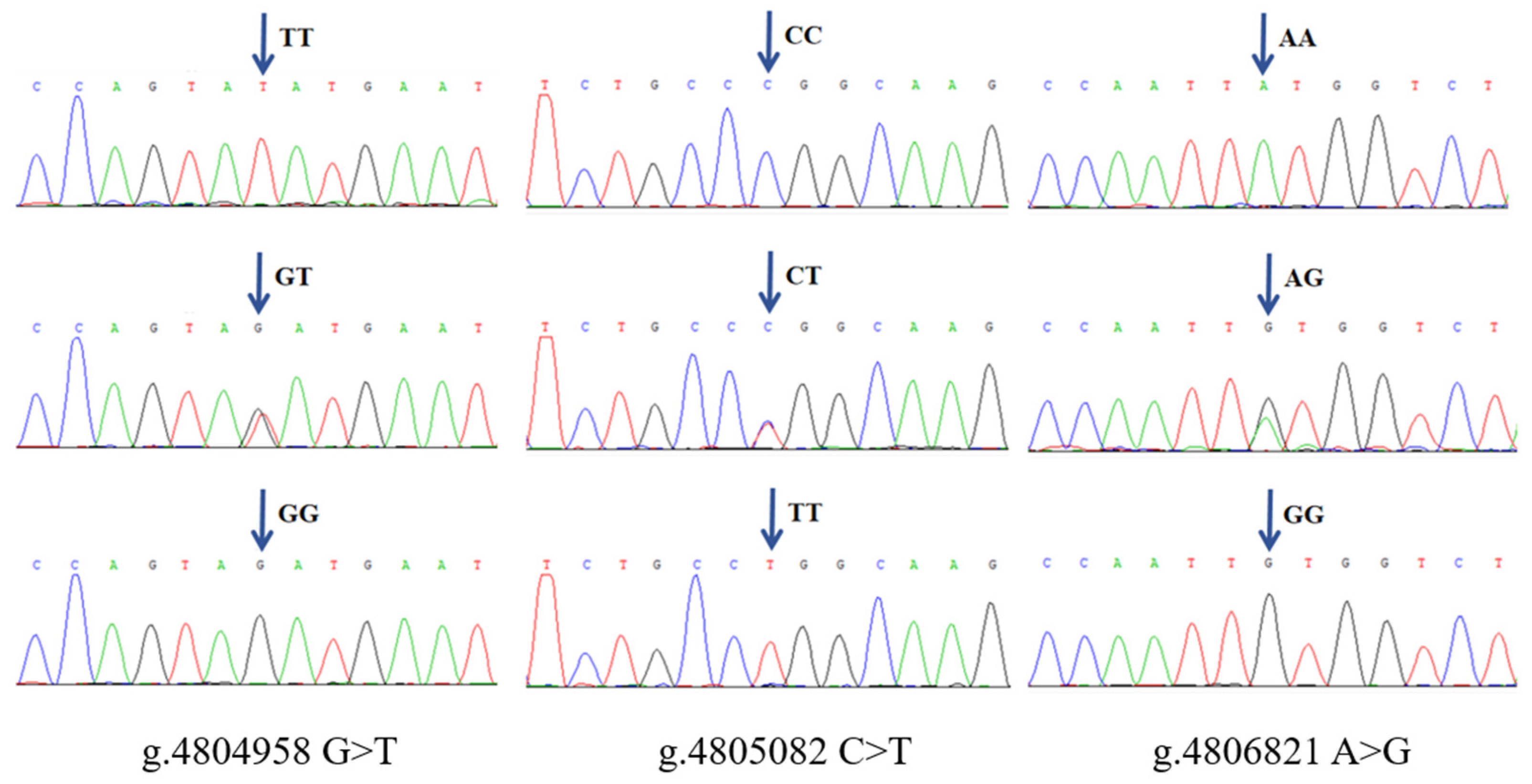 Genes 15 01061 g002 Genes 15 01061 g002