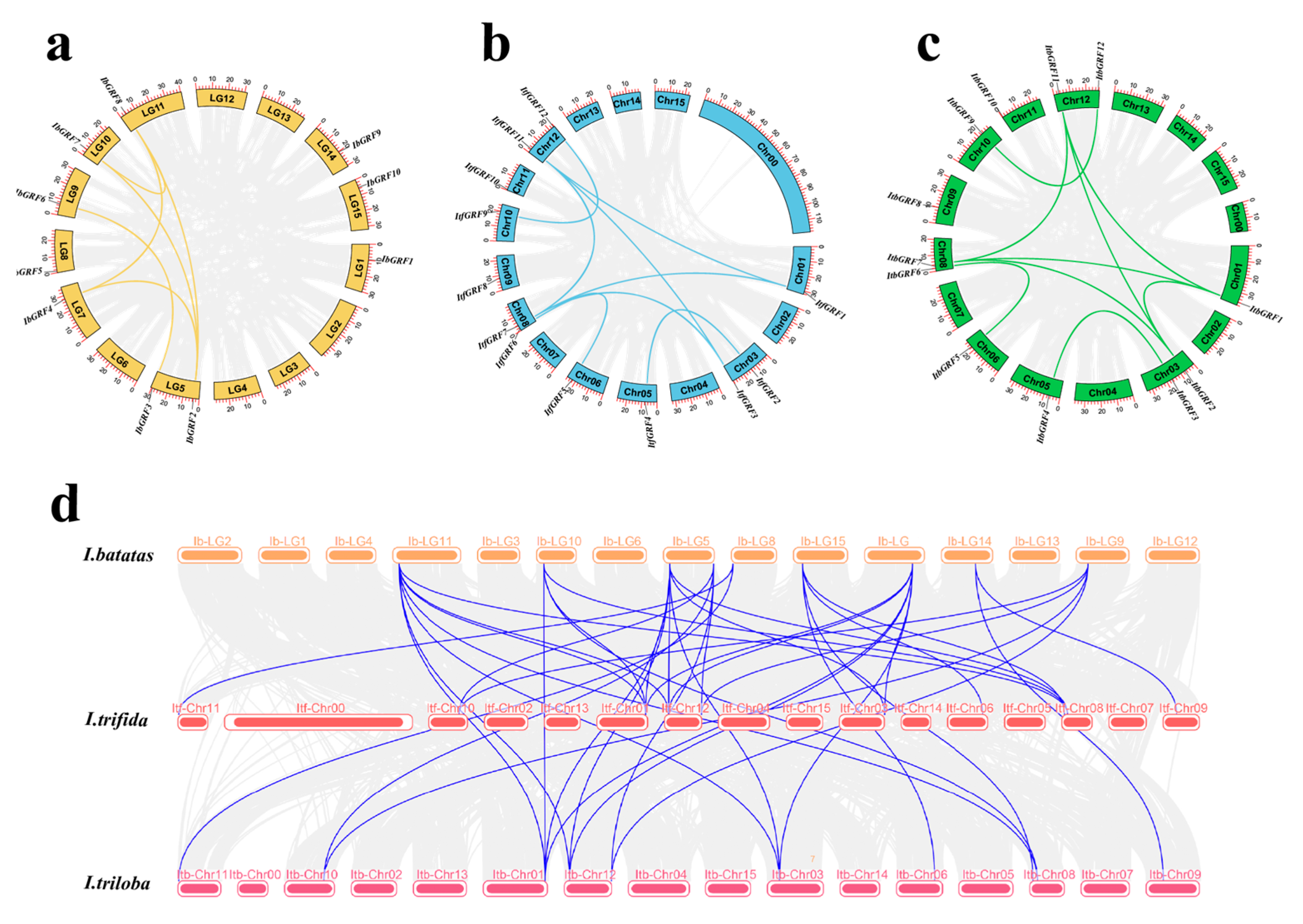 Genes 15 01064 g002