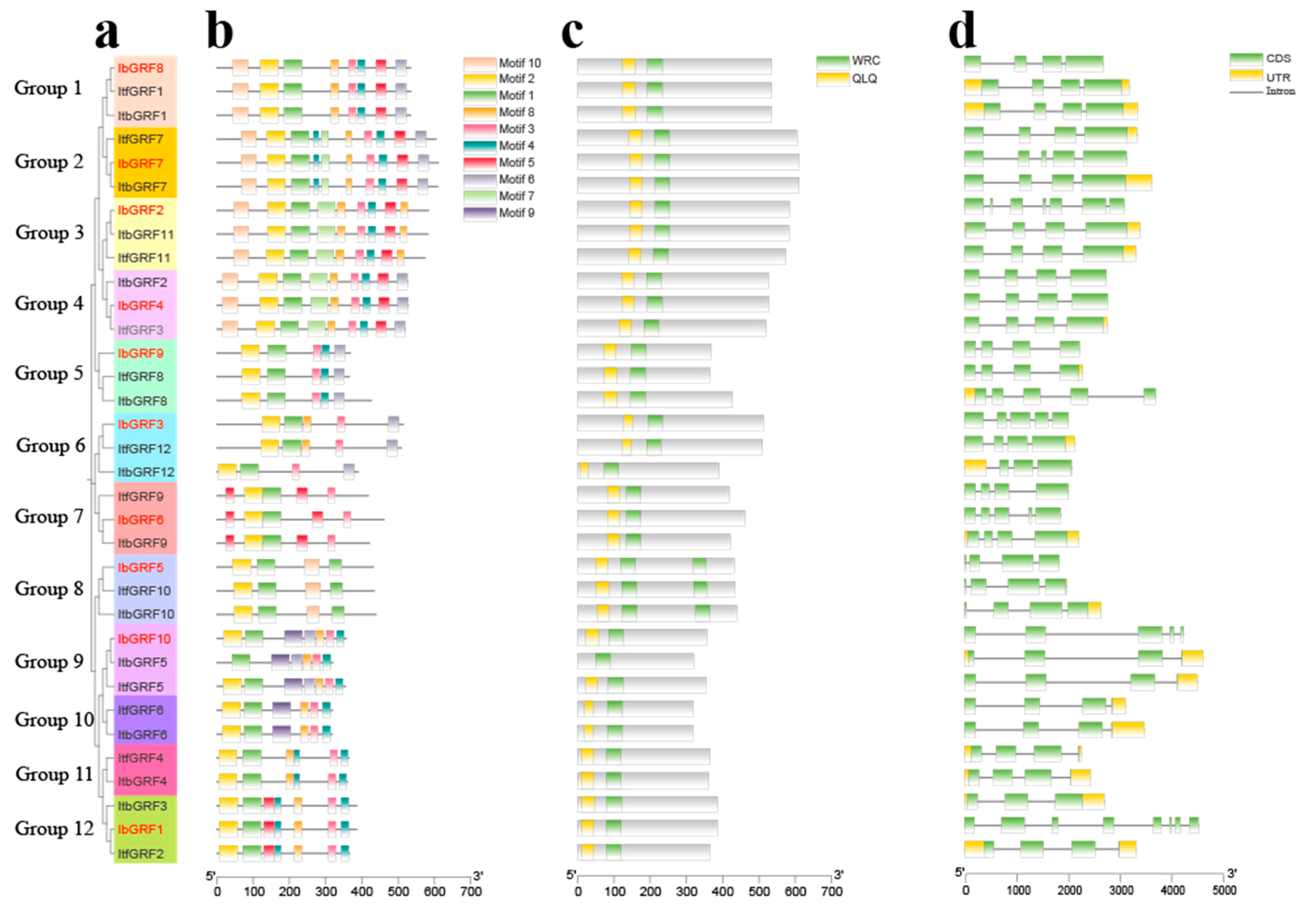Genes 15 01064 g005
