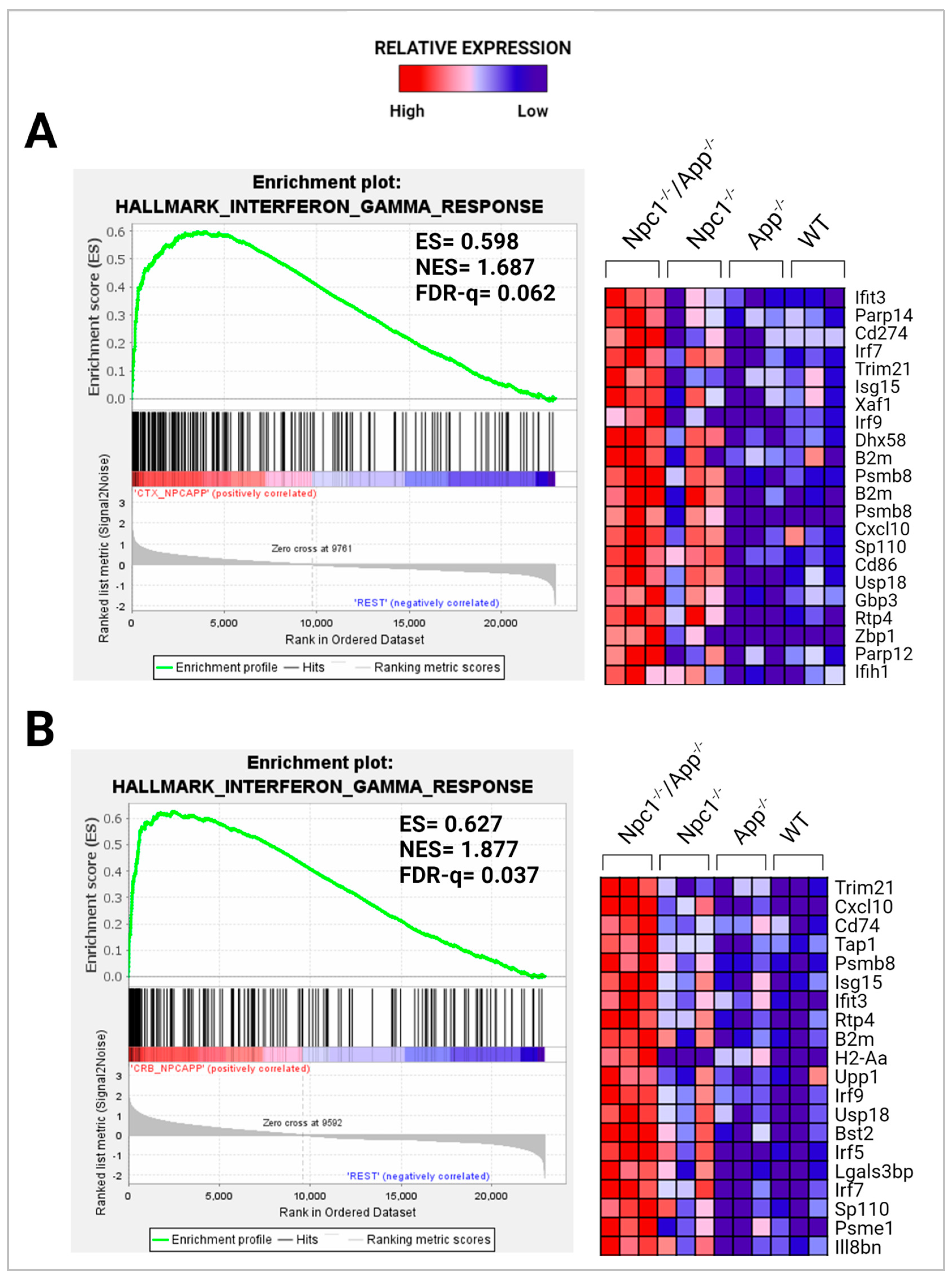Genes 15 01066 g002