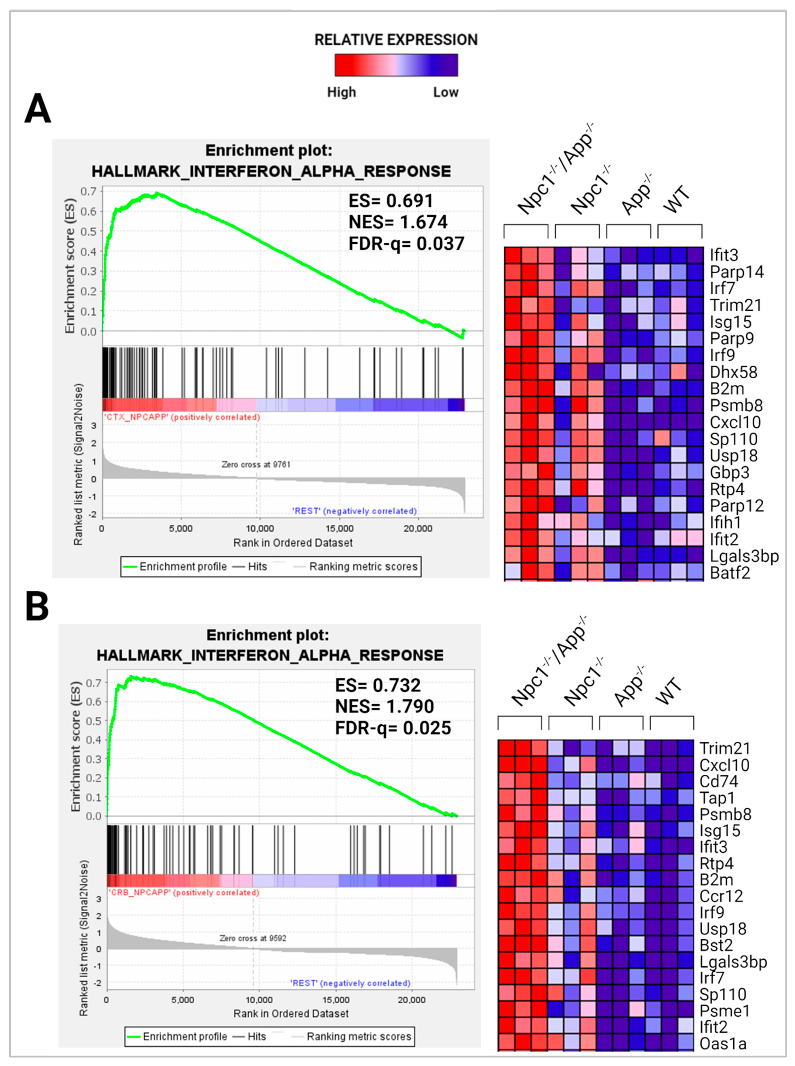 Genes 15 01066 g005